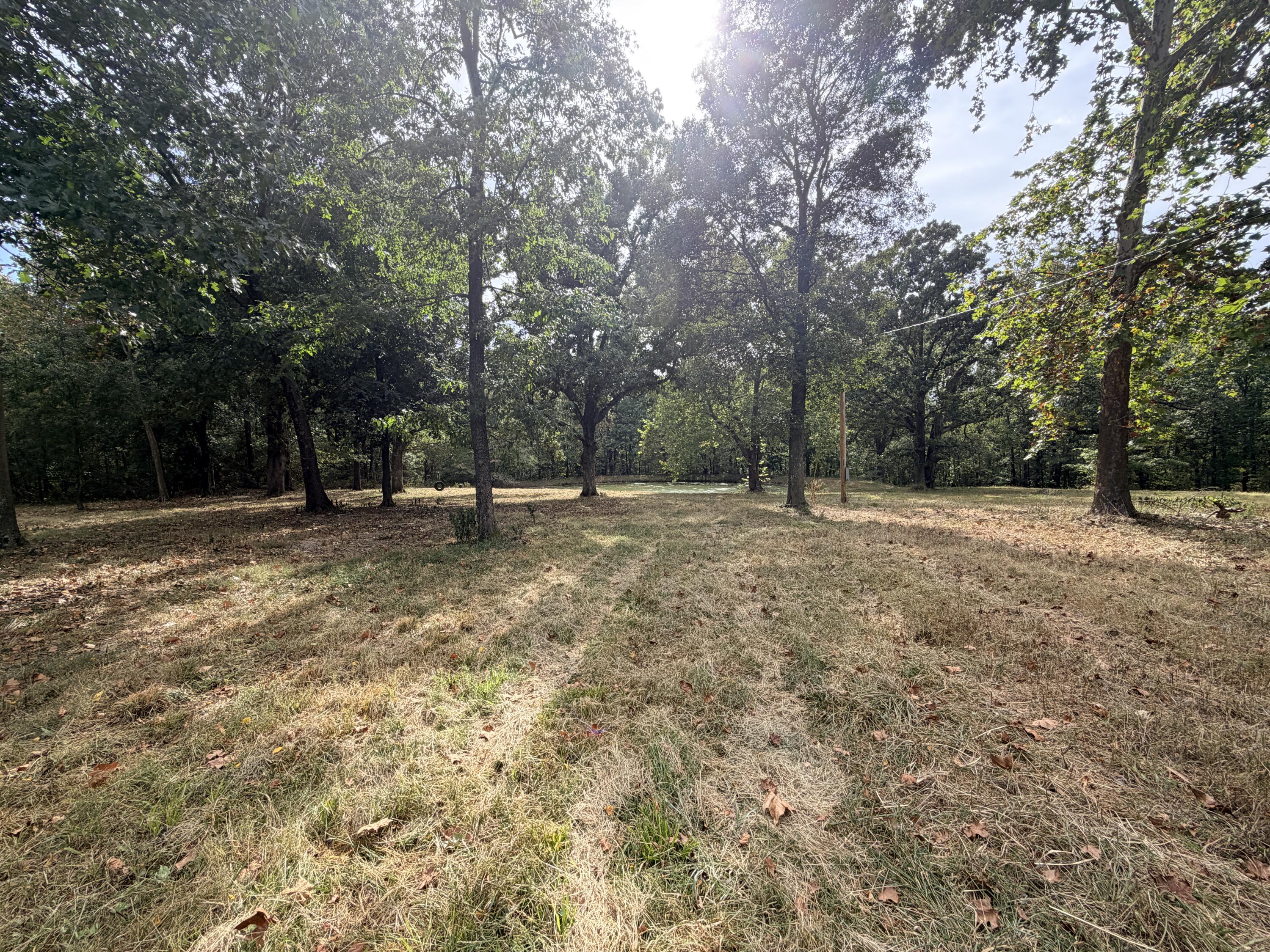 Photo 10 - Land for sale – 240  Colton Lane  Stella, MO