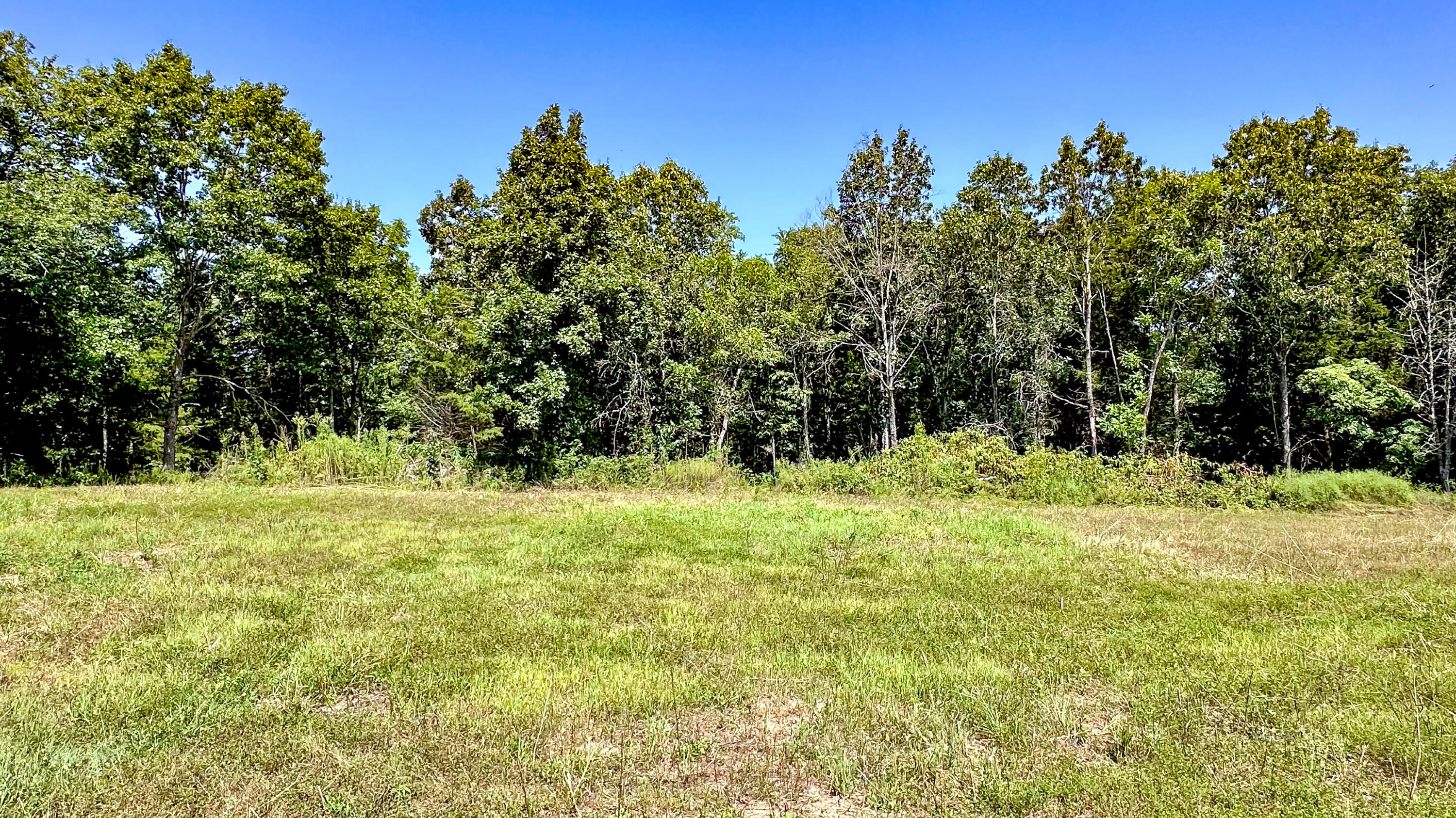 Photo 38 - Residential for sale – 8380  Saint George Road  Hartville, MO