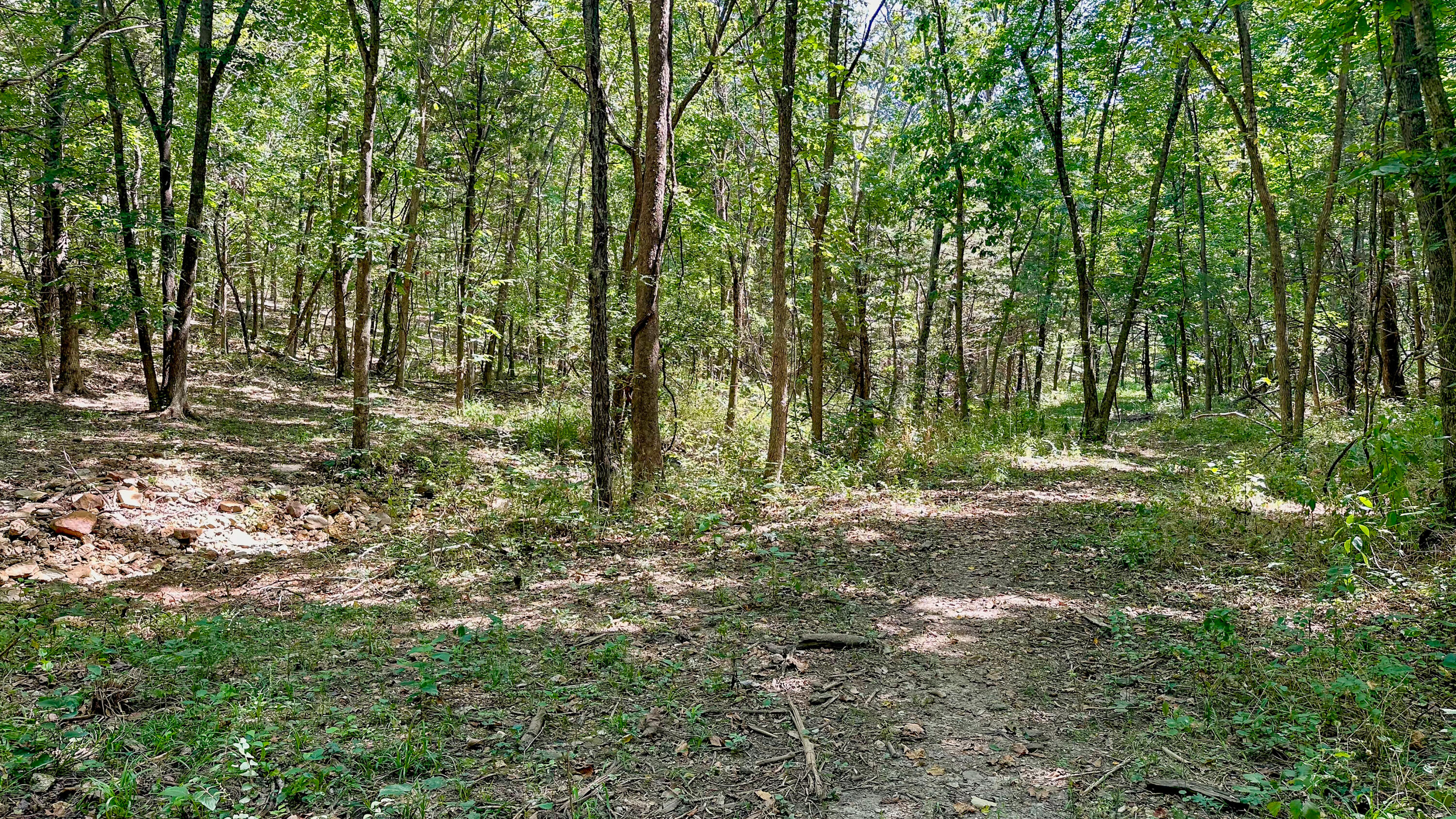 Photo 29 - Residential for sale – 8380  Saint George Road  Hartville, MO