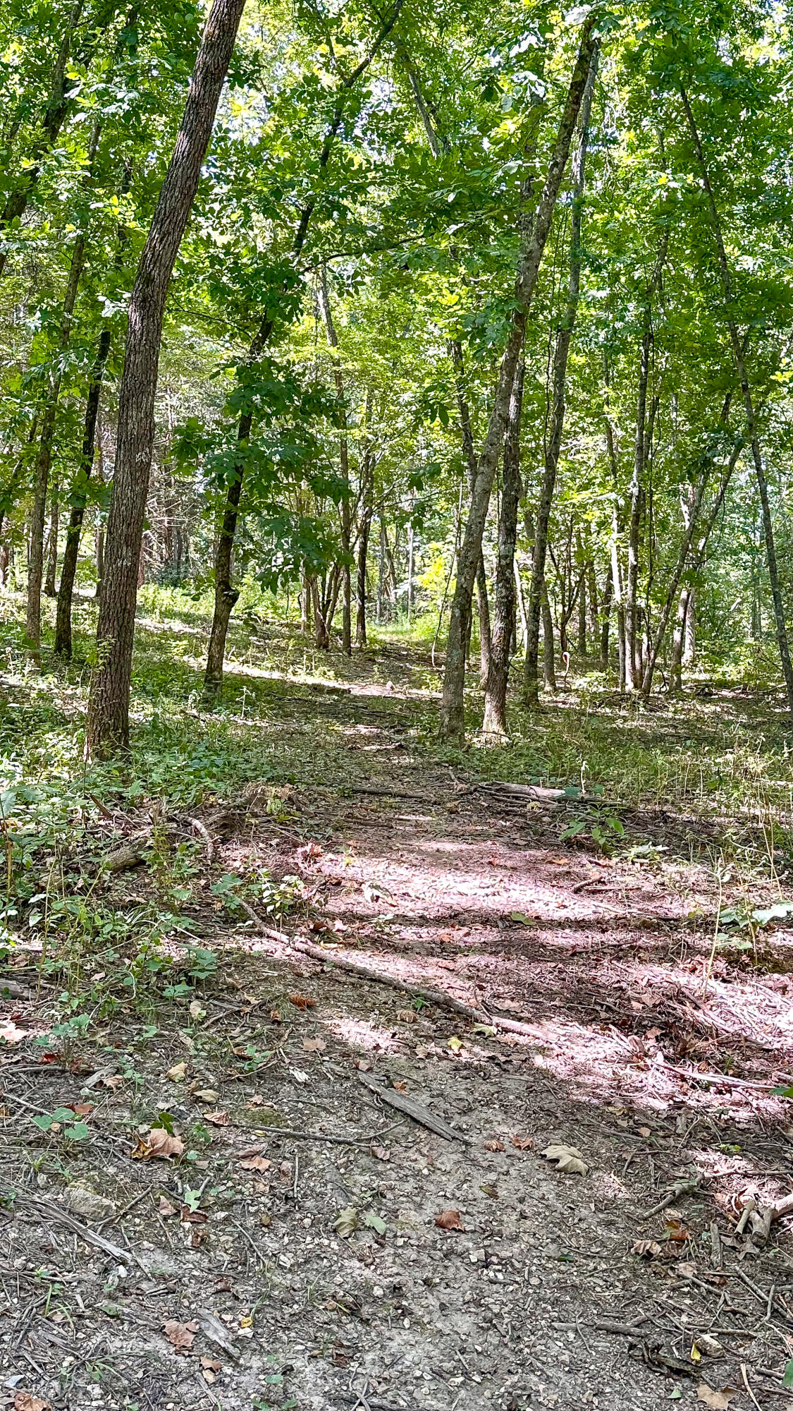 Photo 34 - Residential for sale – 8380  Saint George Road  Hartville, MO