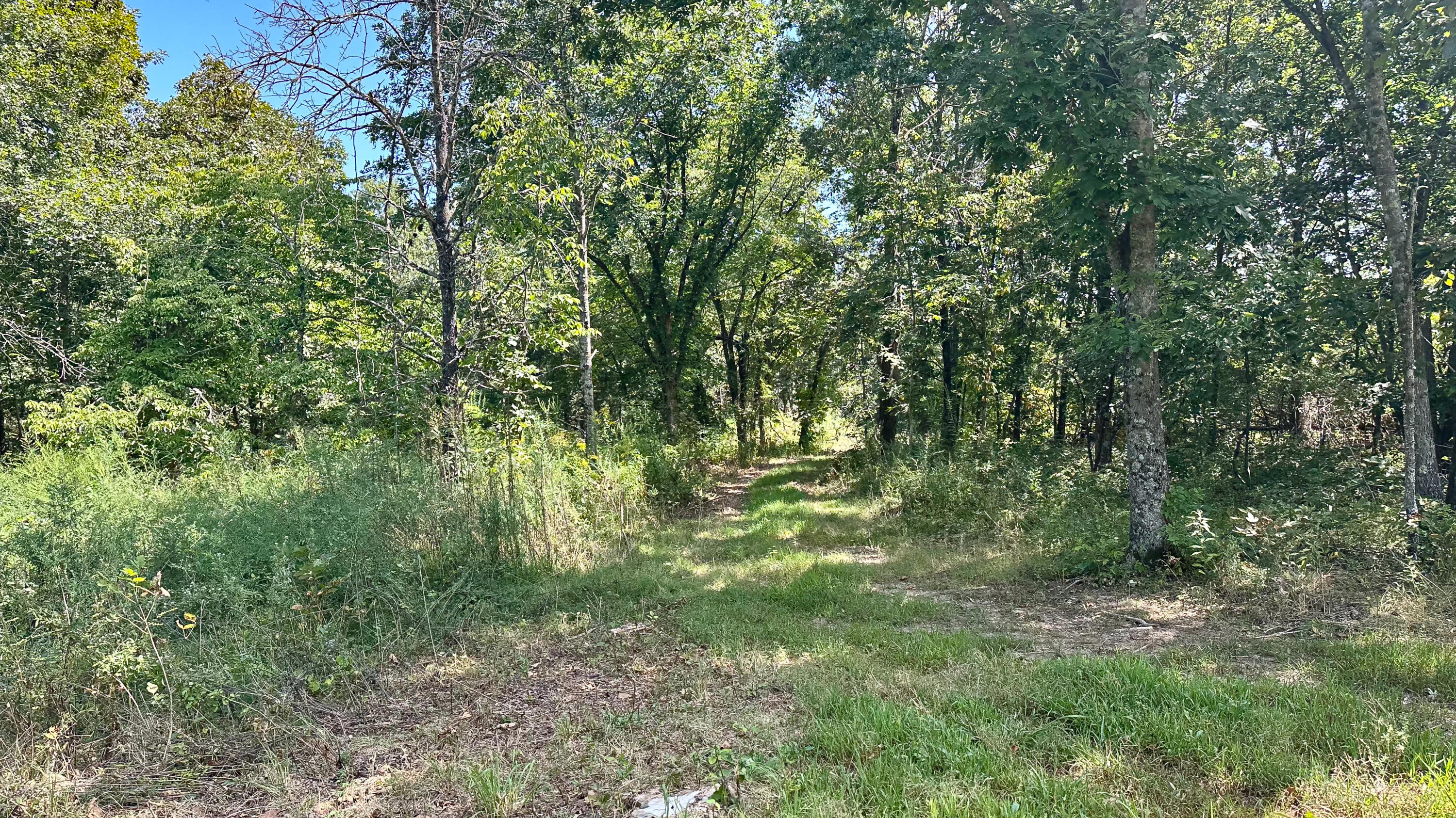 Photo 23 - Residential for sale – 8380  Saint George Road  Hartville, MO