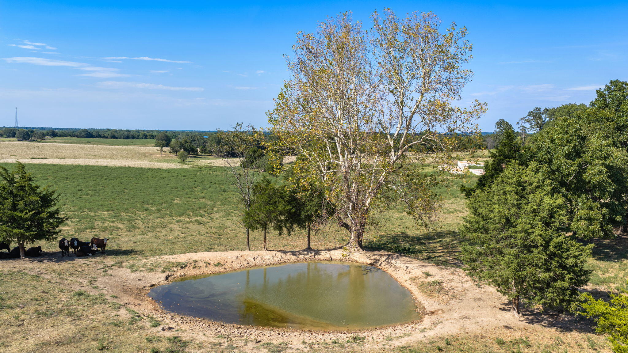 Photo 40 - Residential for sale – 1461  Shiloh Church Road  Marionville, MO