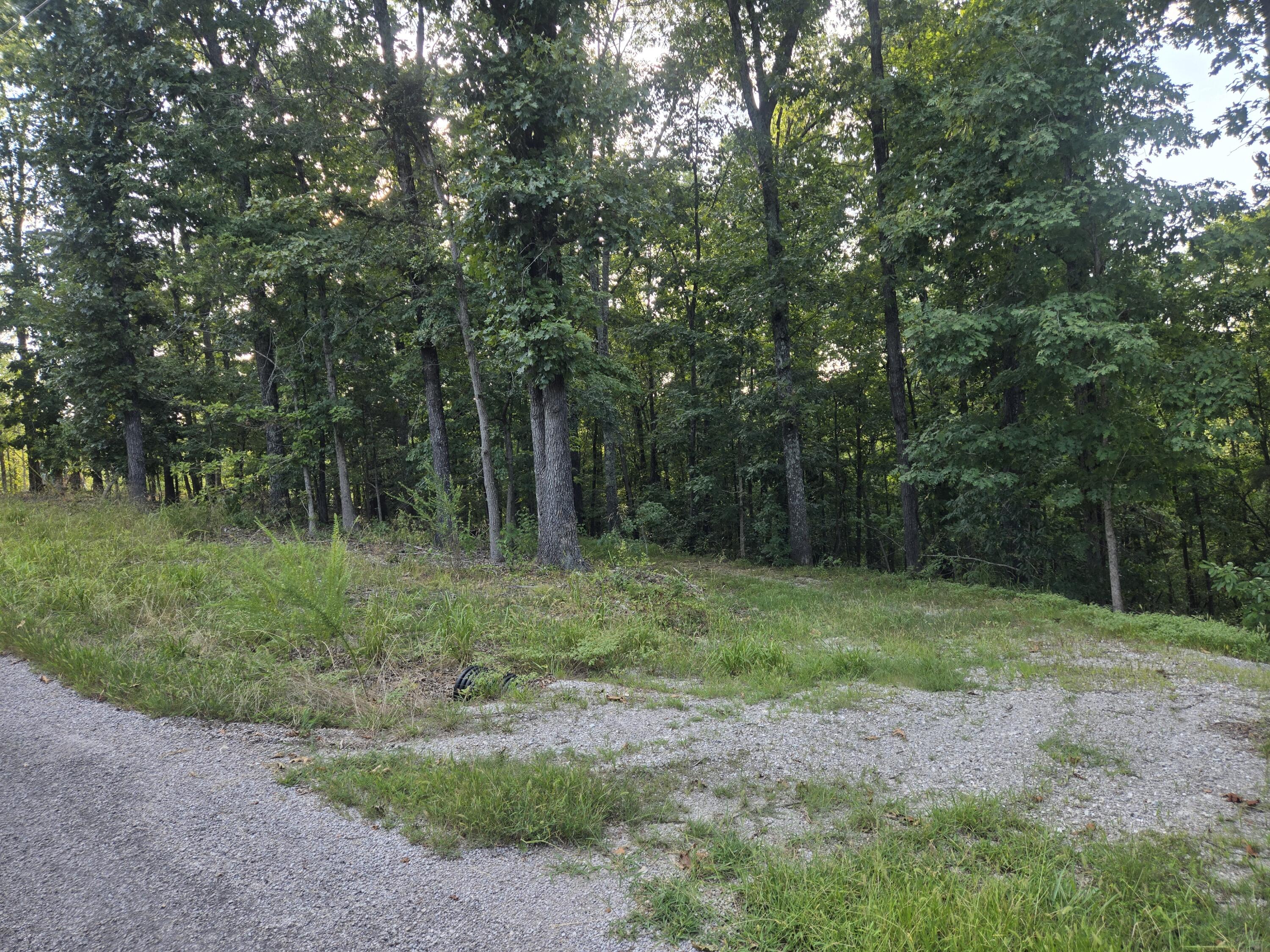 Photo 2 - Land for sale – Lot 75,  Jeffery Lane   Cape Fair, MO