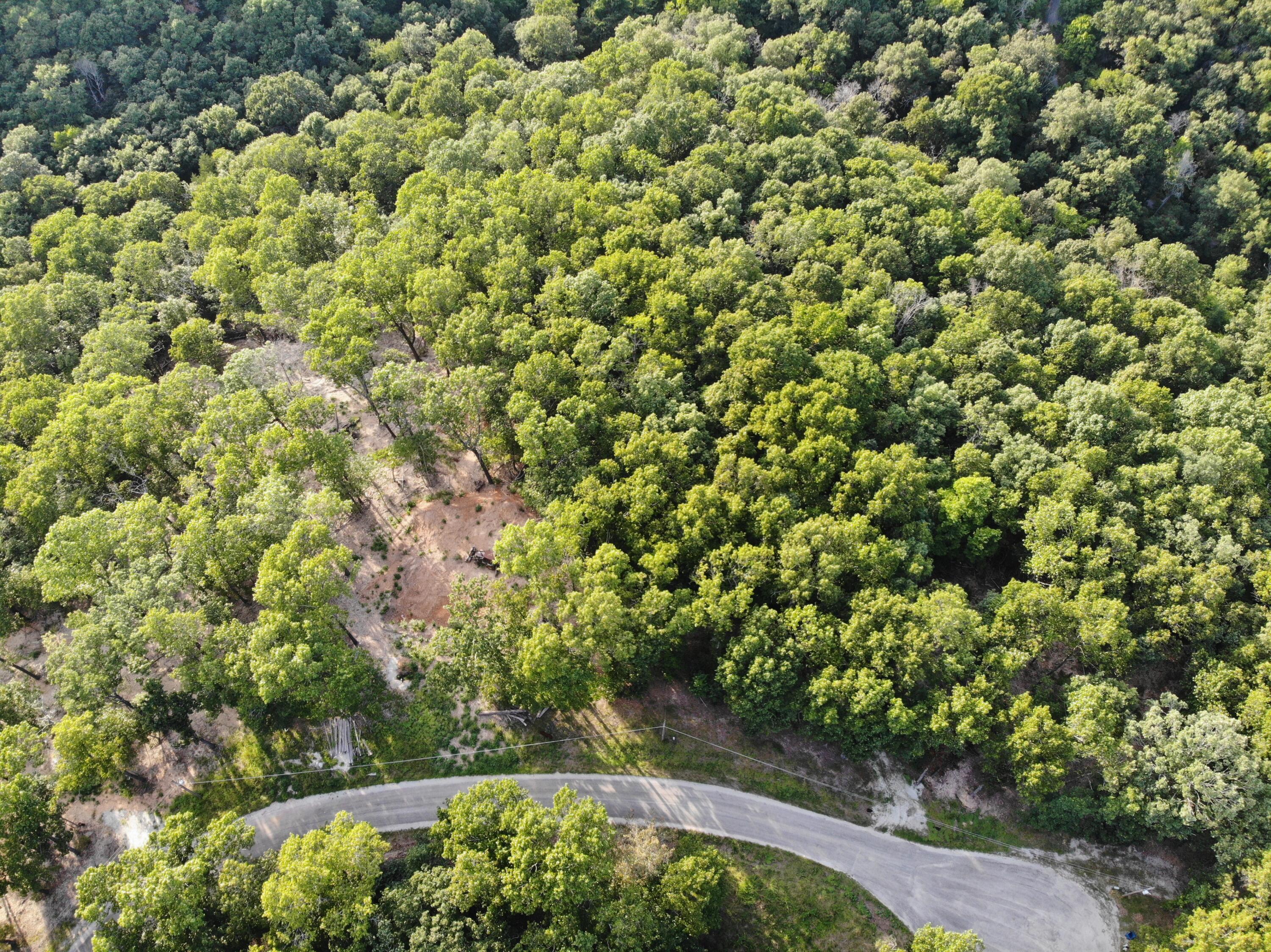 Photo 3 - Land for sale – Lot 75,  Jeffery Lane   Cape Fair, MO