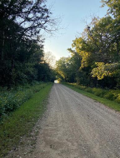 Photo 15 - Residential for sale – 26108  Ken Haven Road  Pittsburg, MO
