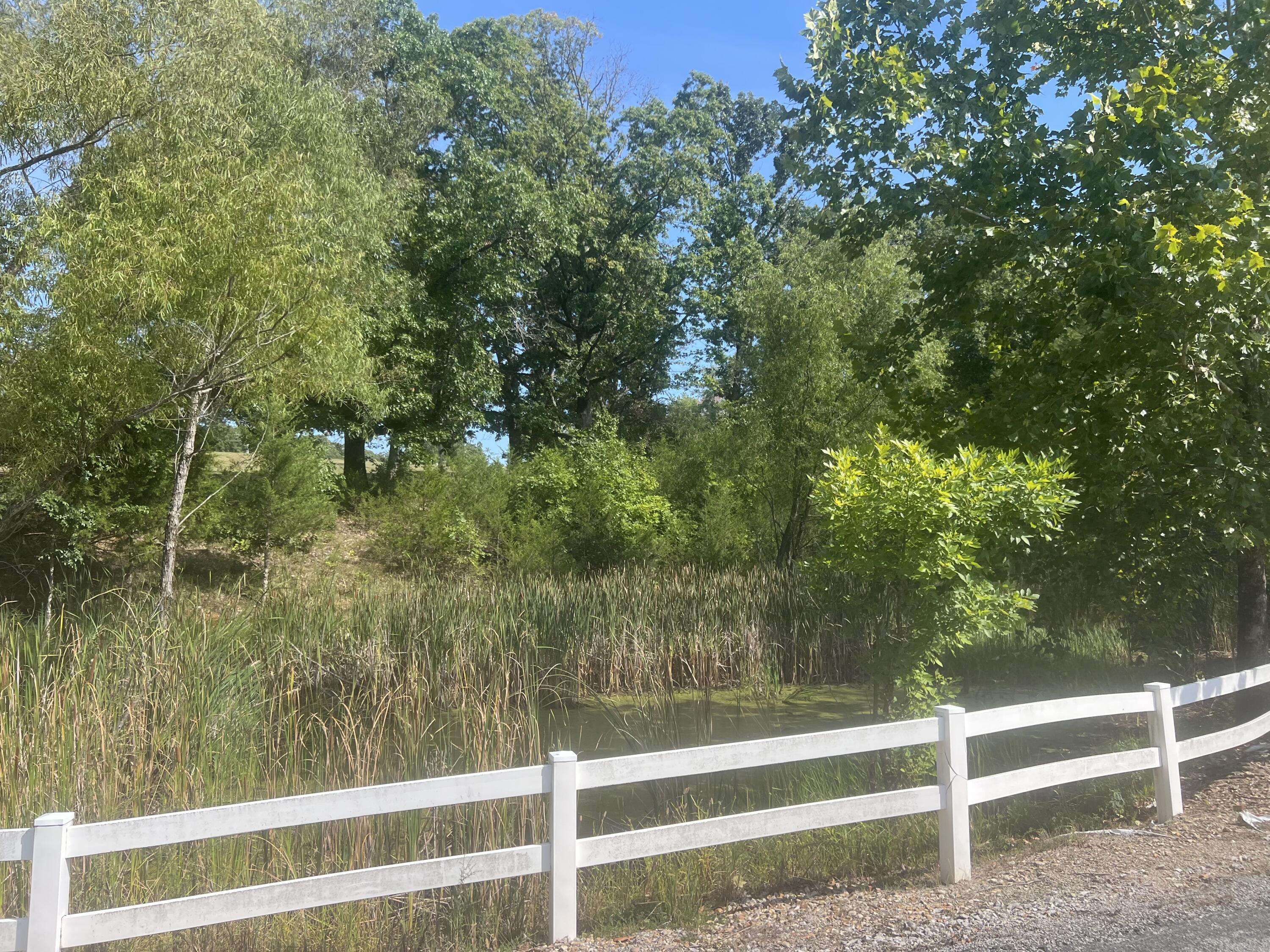 Photo 20 - Land for sale – 000  Lake Ranch Road  Kissee Mills, MO