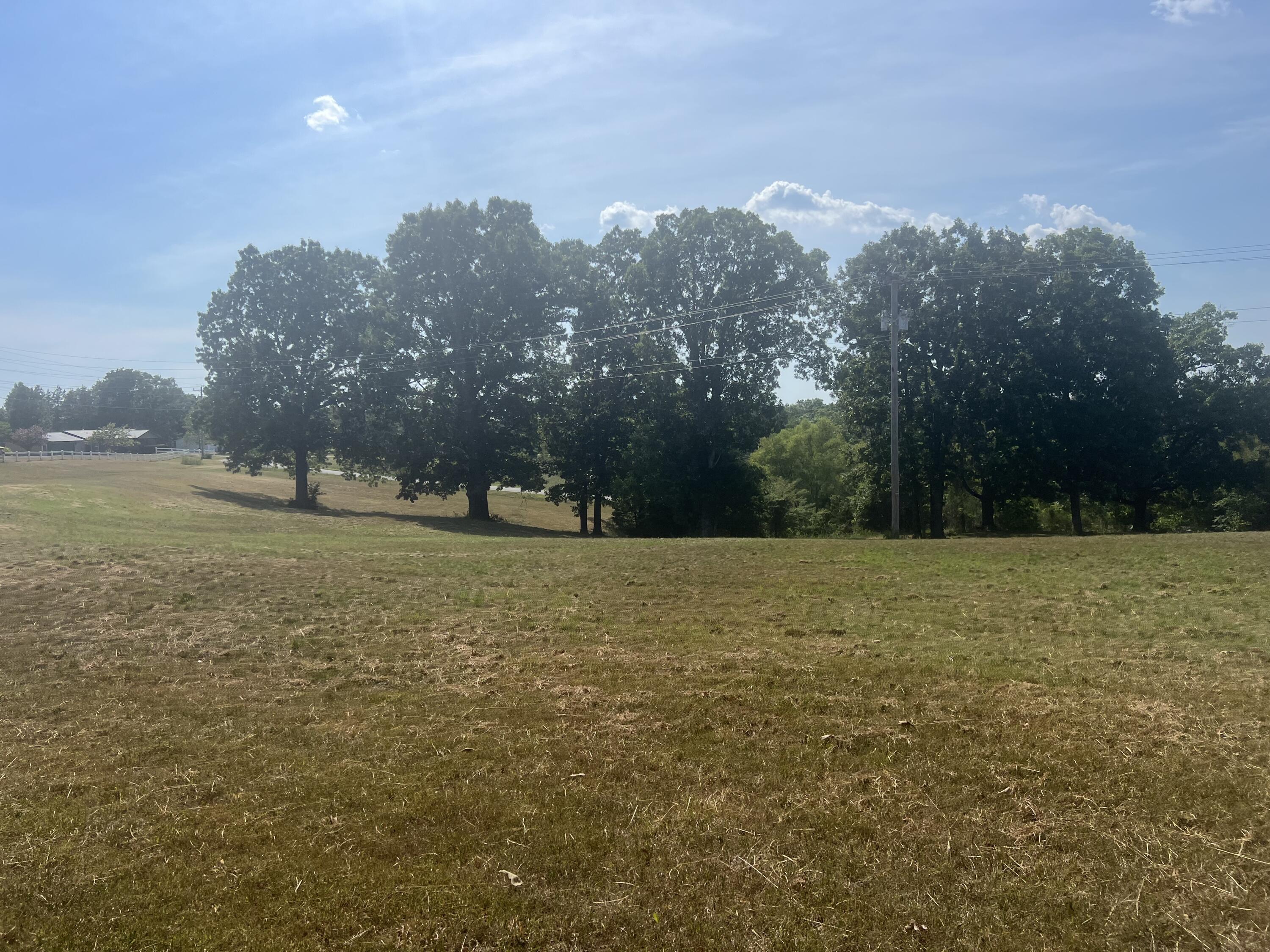 Photo 8 - Land for sale – 000  Lake Ranch Road  Kissee Mills, MO