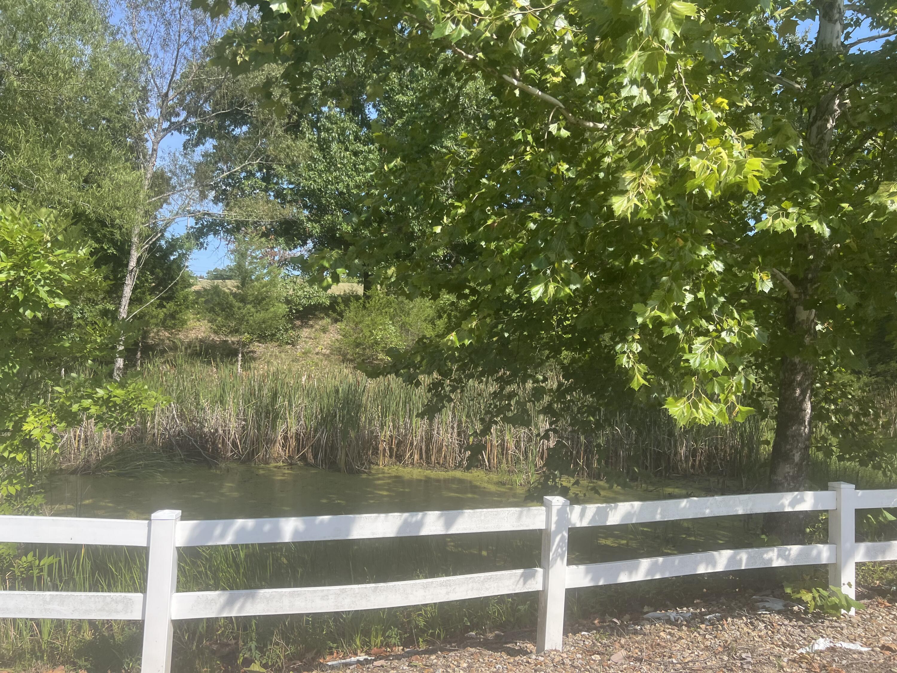 Photo 21 - Land for sale – 000  Lake Ranch Road  Kissee Mills, MO
