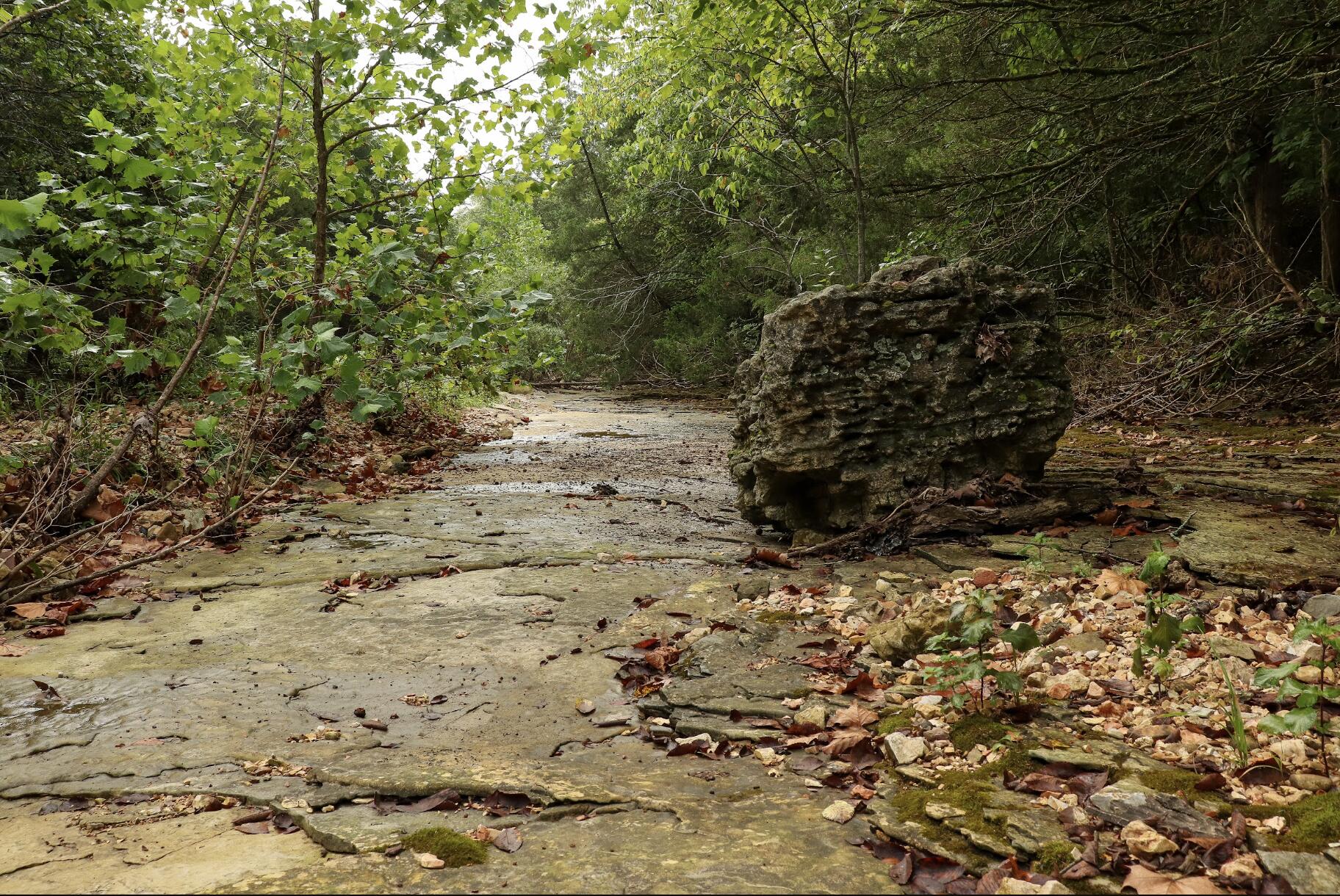 Photo 31 - Land for sale – 3394  Chadwick Road Road  Chadwick, MO