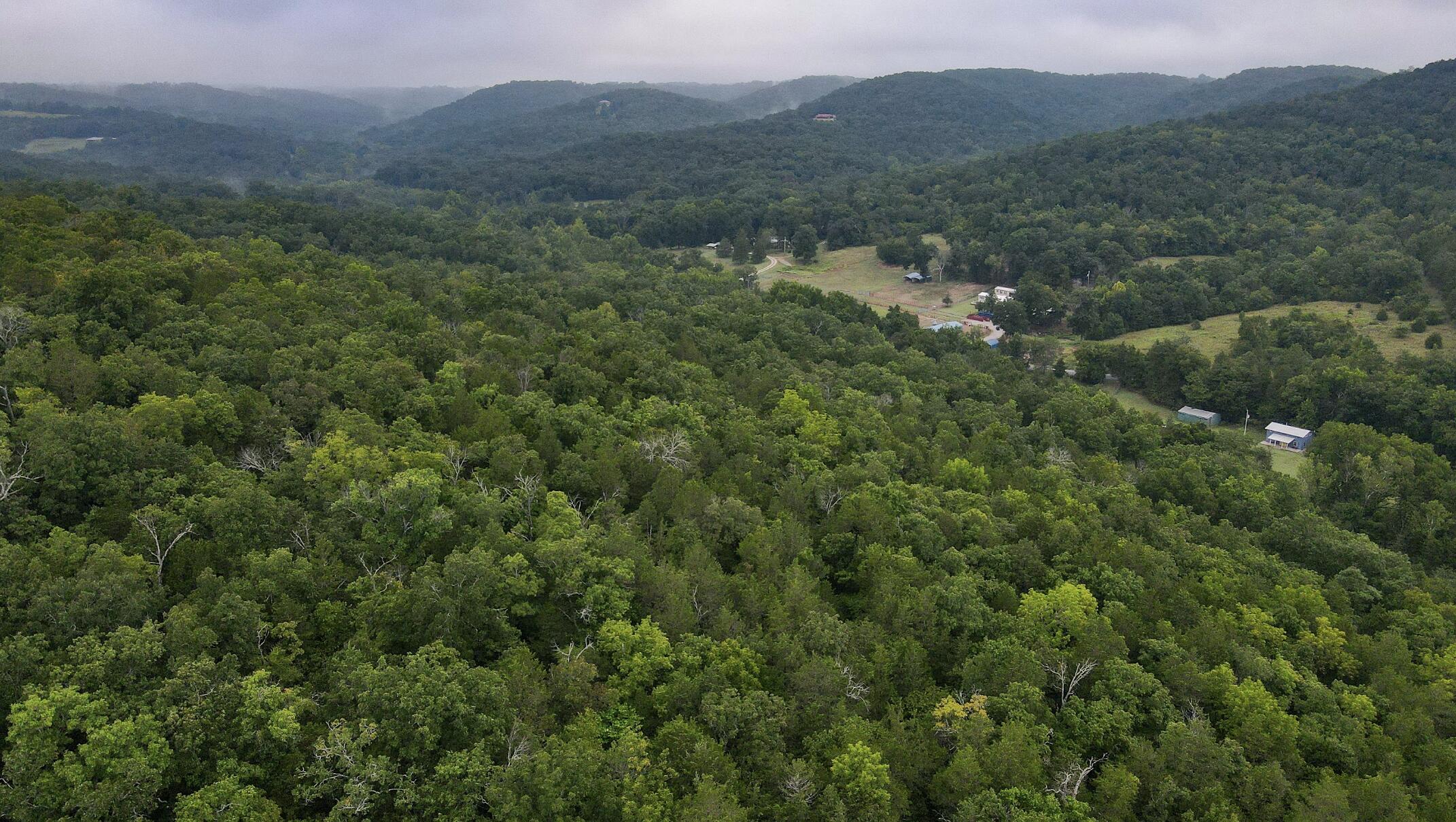 Photo 48 - Land for sale – 3394  Chadwick Road Road  Chadwick, MO