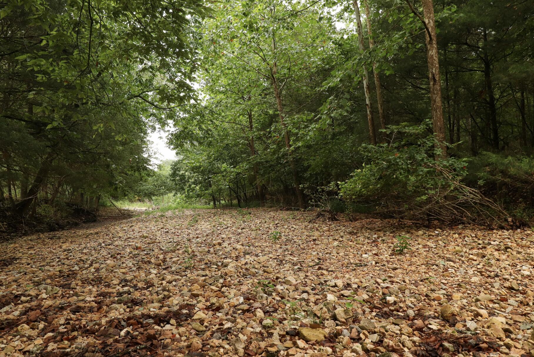 Photo 33 - Land for sale – 3394  Chadwick Road Road  Chadwick, MO
