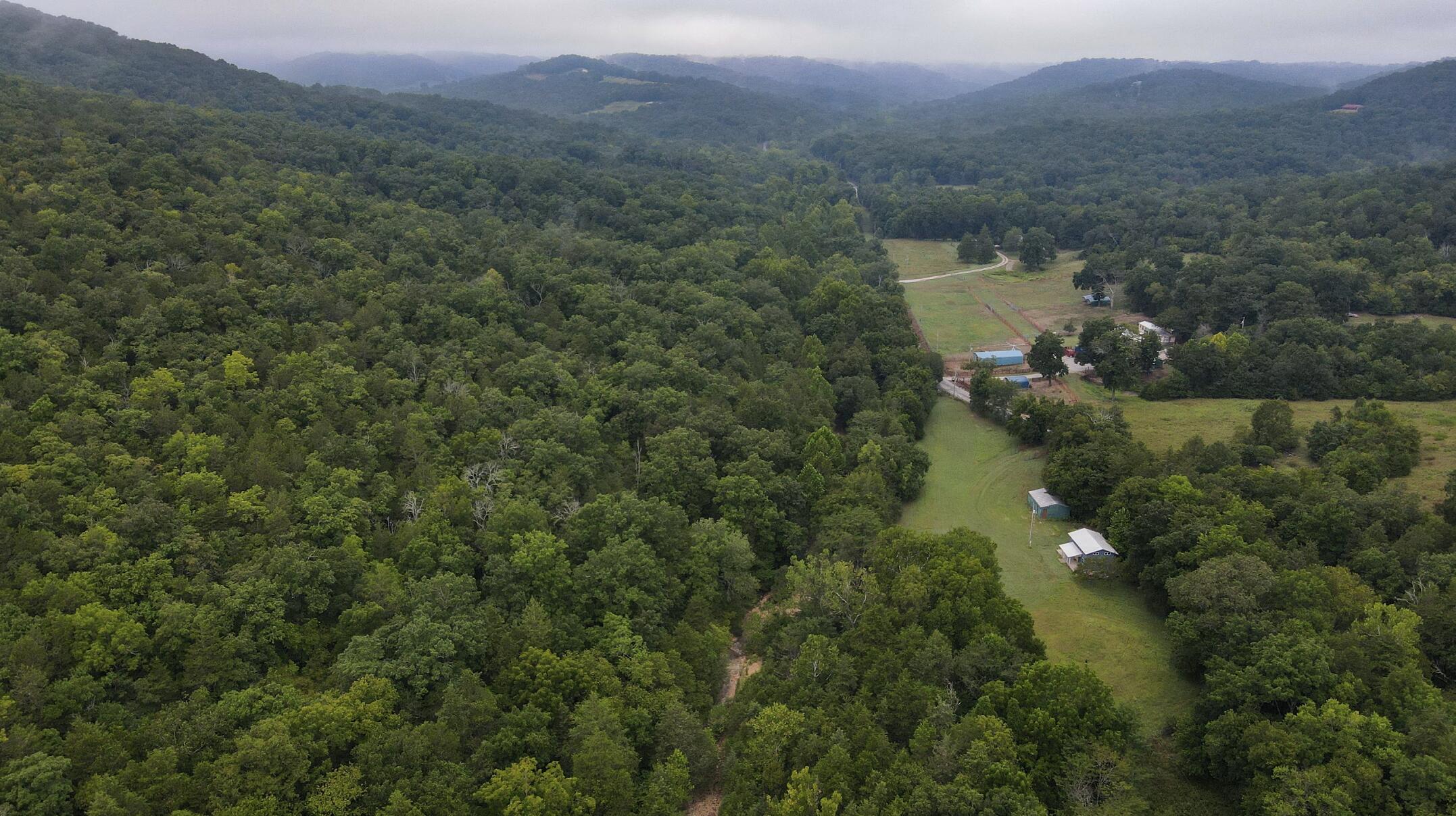 Photo 3 - Land for sale – 3394  Chadwick Road Road  Chadwick, MO