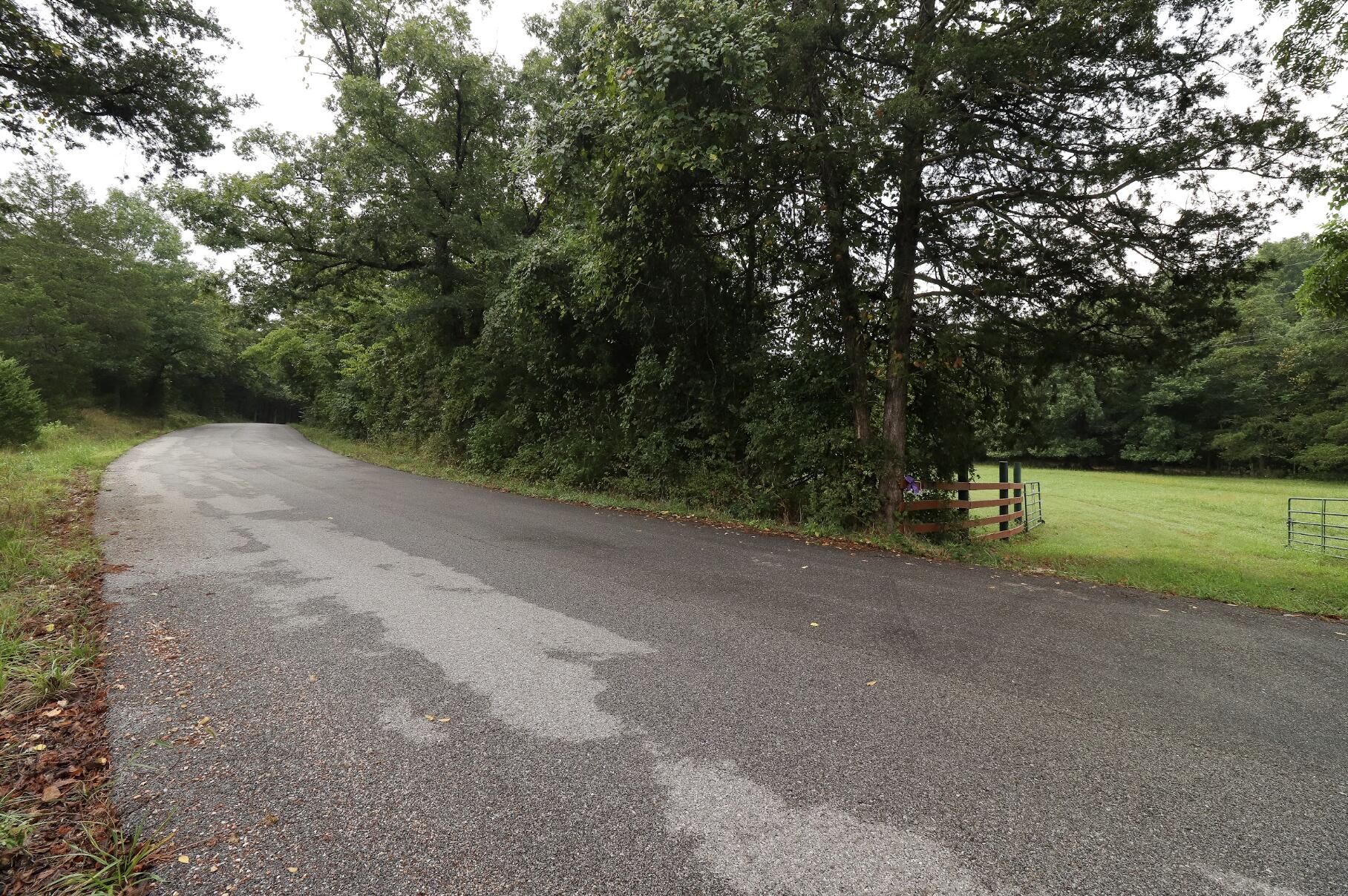 Photo 12 - Land for sale – 3394  Chadwick Road Road  Chadwick, MO