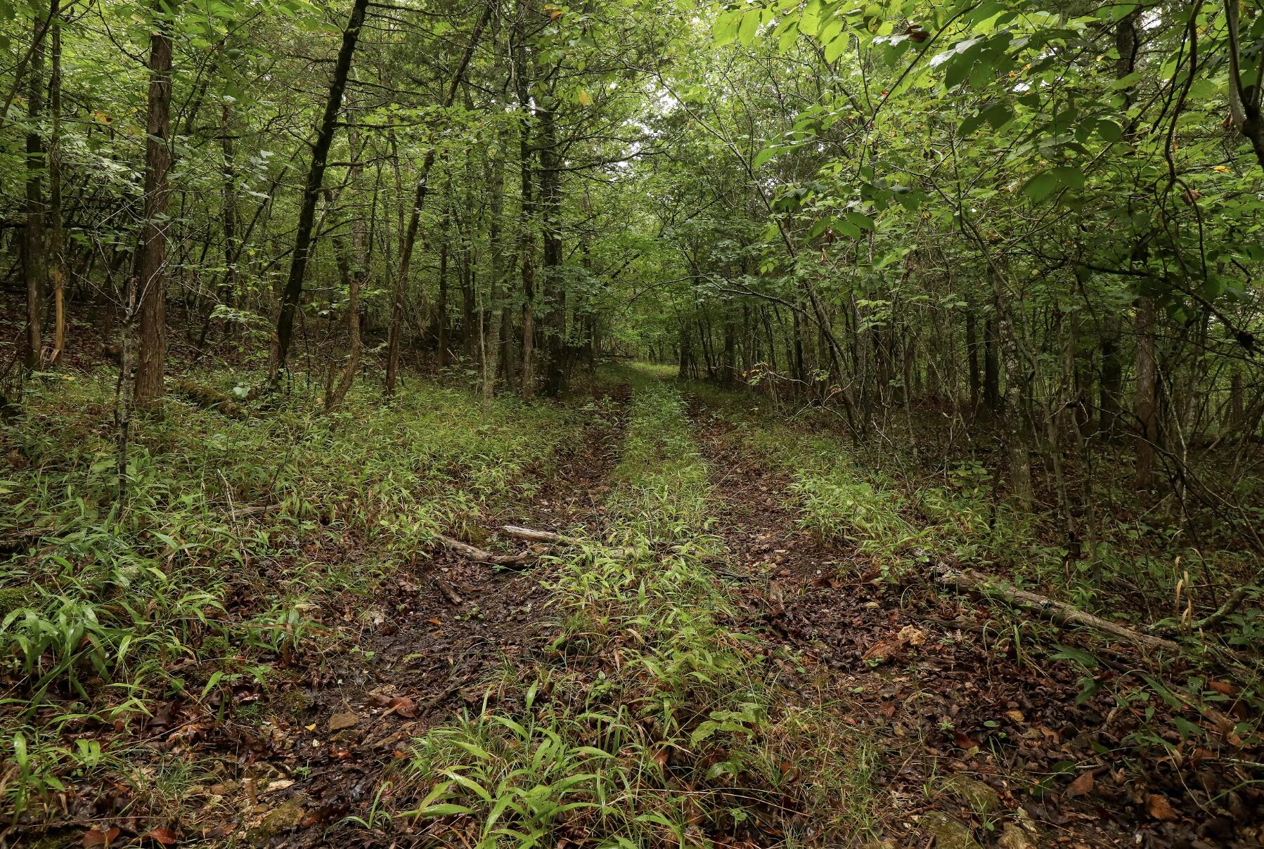 Photo 34 - Land for sale – 3394  Chadwick Road Road  Chadwick, MO