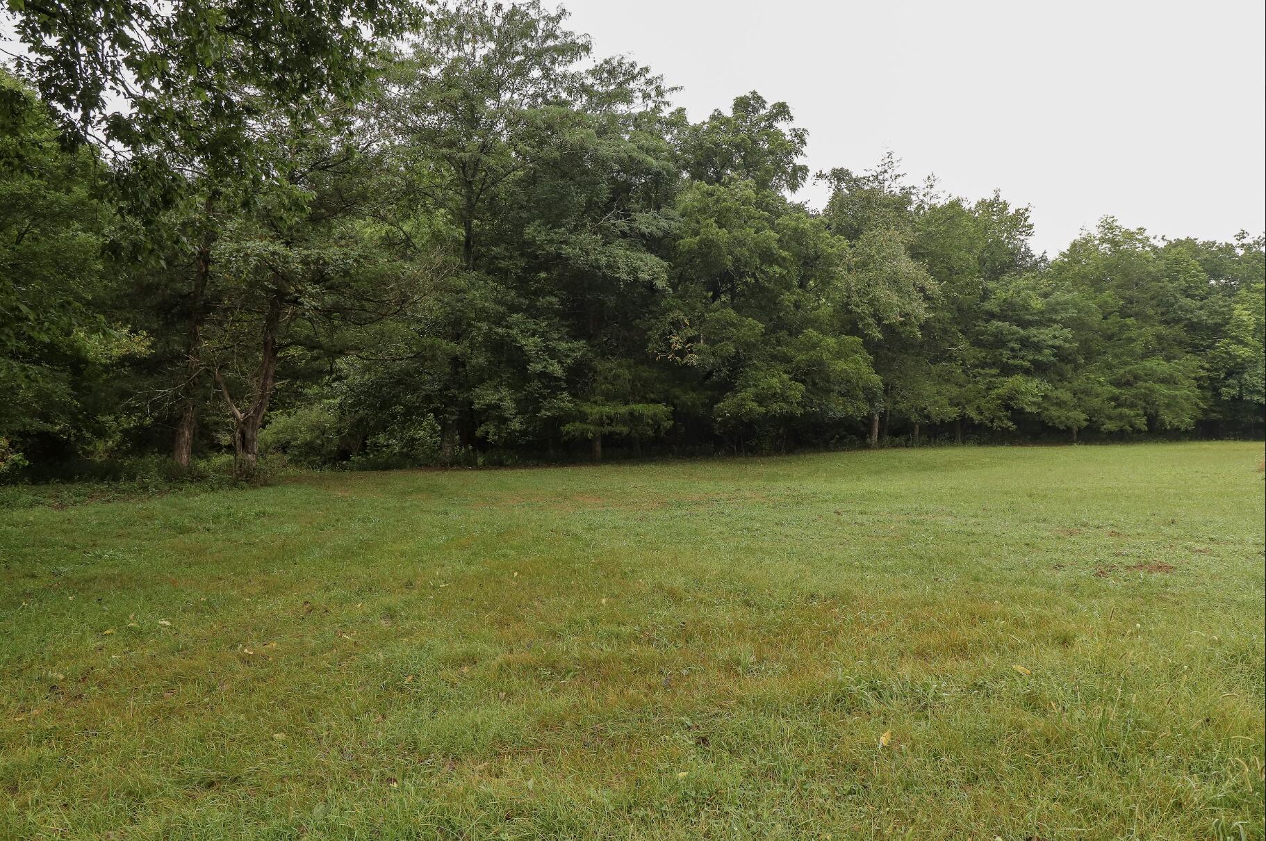 Photo 19 - Land for sale – 3394  Chadwick Road Road  Chadwick, MO