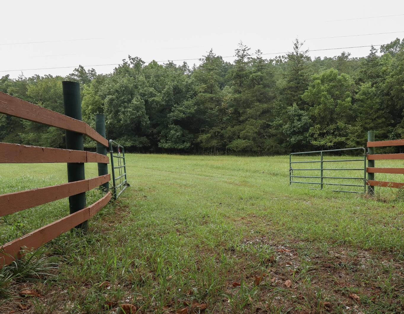 Photo 11 - Land for sale – 3394  Chadwick Road Road  Chadwick, MO