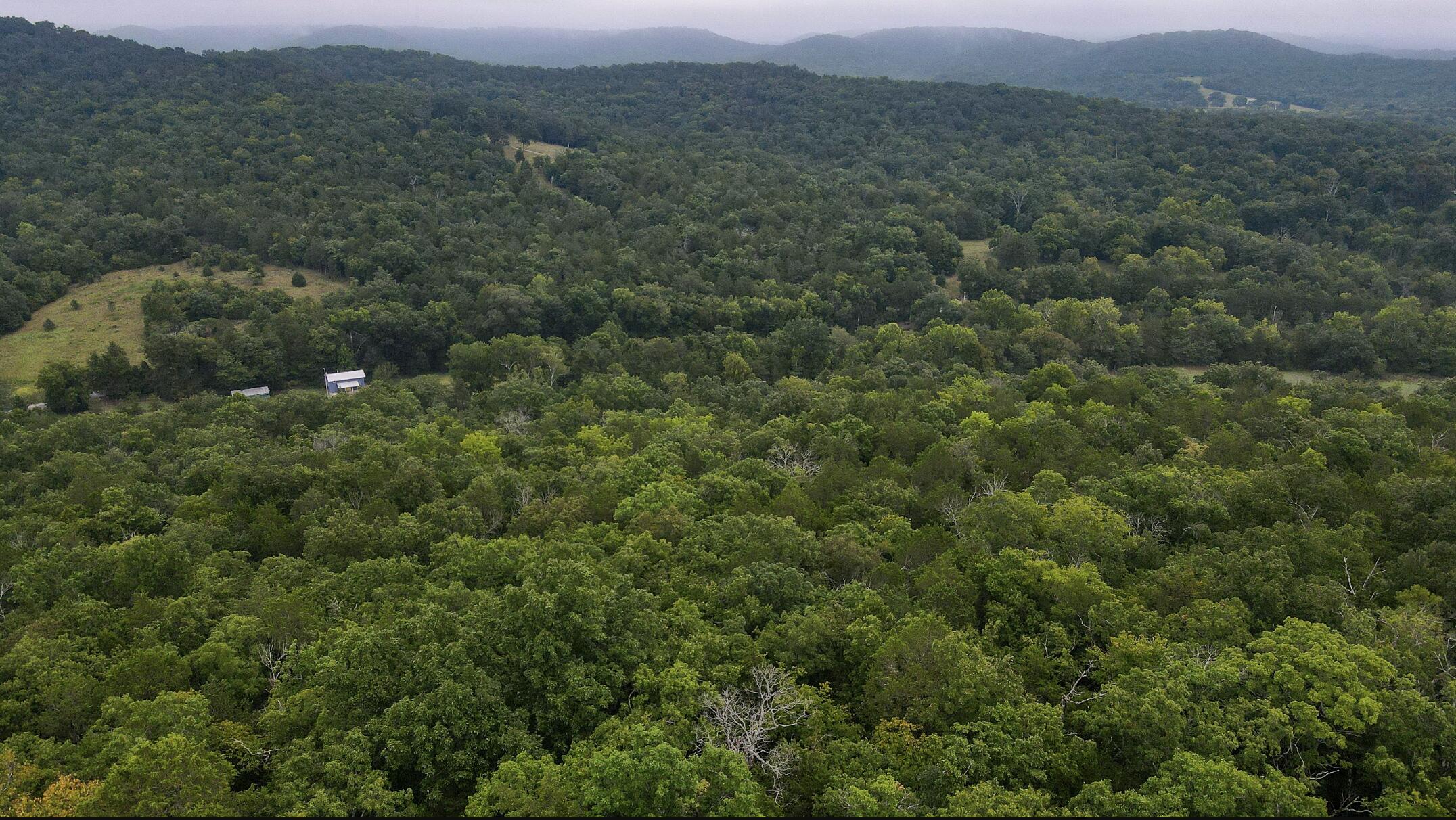Photo 49 - Land for sale – 3394  Chadwick Road Road  Chadwick, MO