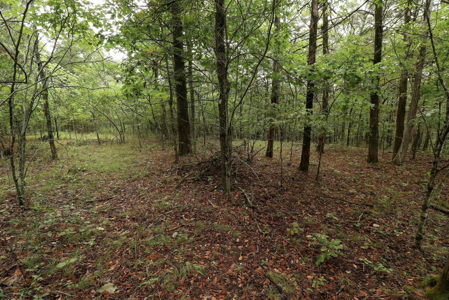 Photo 41 - Land for sale – 3394  Chadwick Road Road  Chadwick, MO
