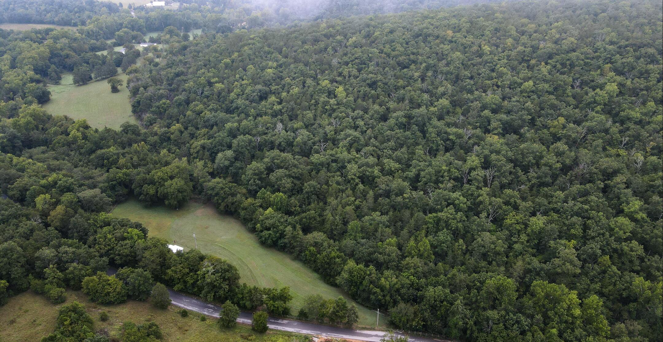Photo 5 - Land for sale – 3394  Chadwick Road Road  Chadwick, MO