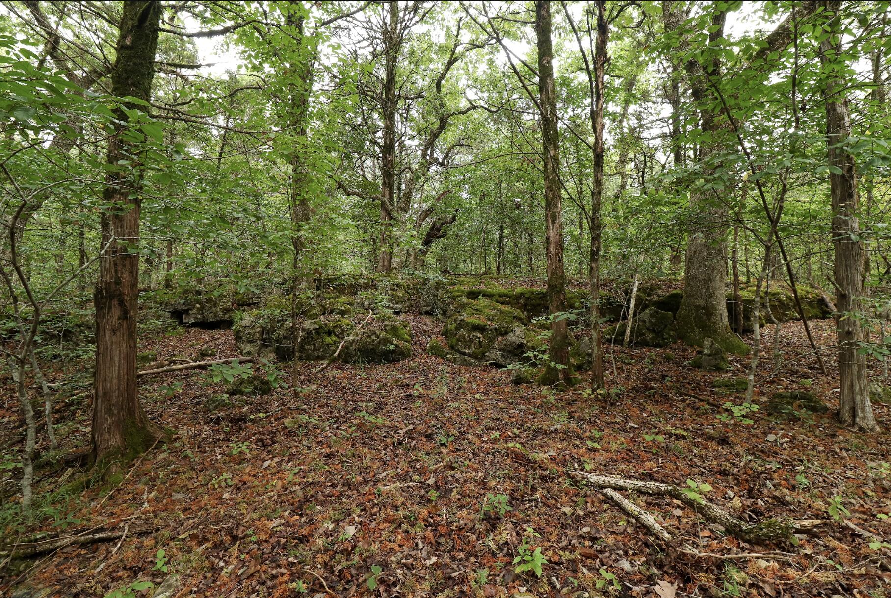 Photo 40 - Land for sale – 3394  Chadwick Road Road  Chadwick, MO