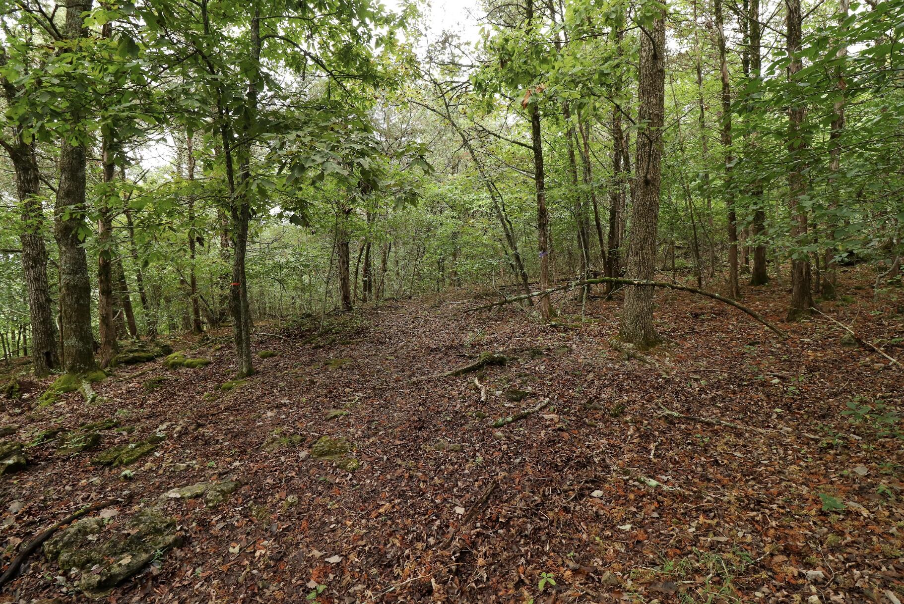 Photo 39 - Land for sale – 3394  Chadwick Road Road  Chadwick, MO