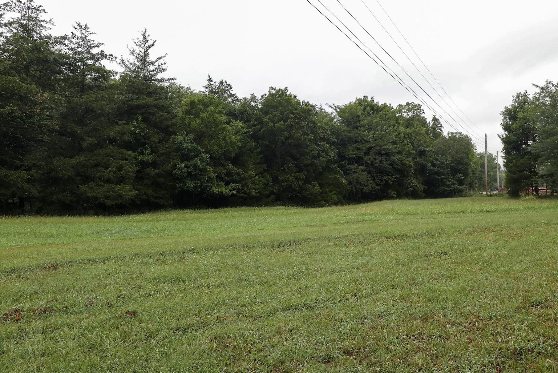 Photo 16 - Land for sale – 3394  Chadwick Road Road  Chadwick, MO