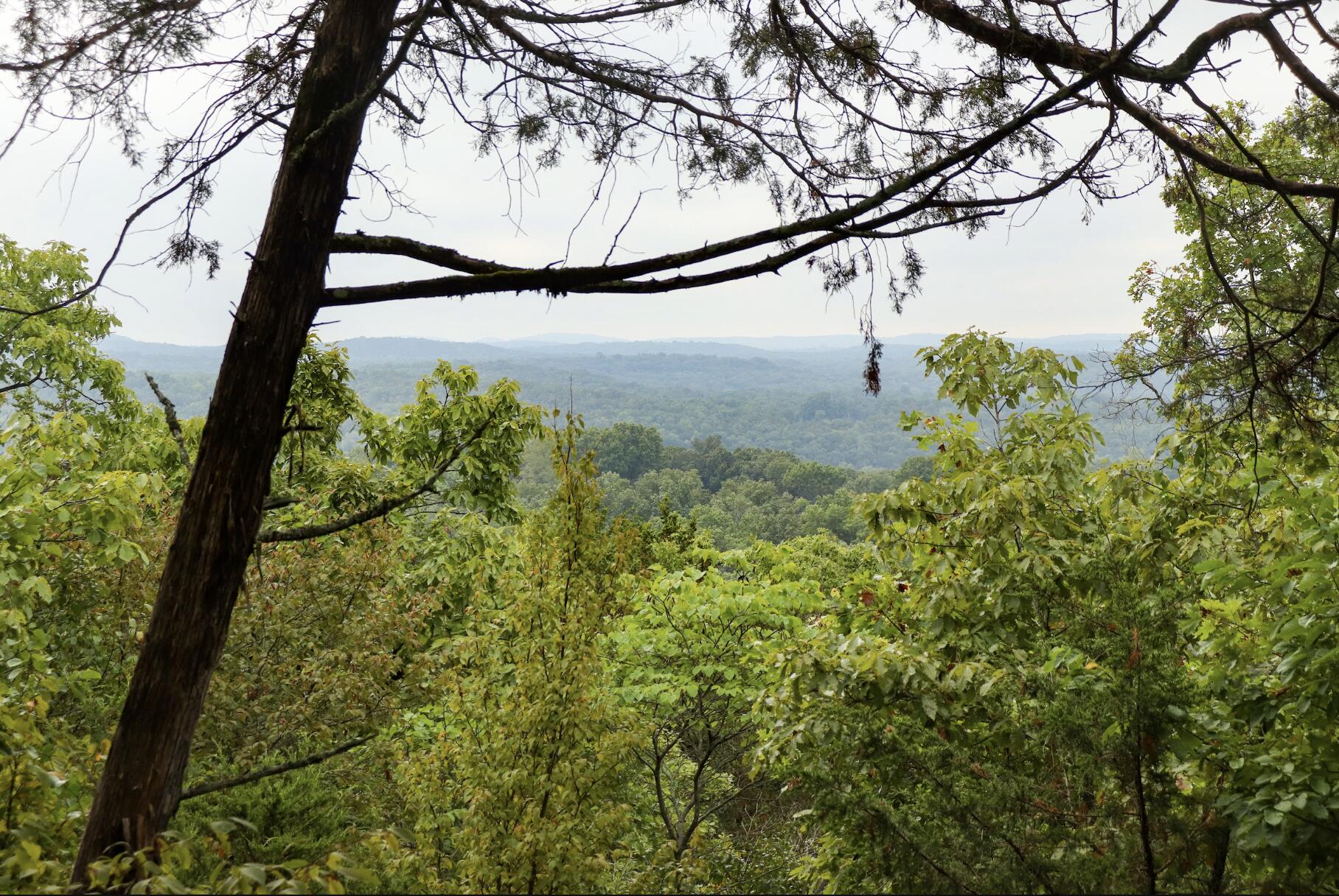 Photo 52 - Land for sale – 3394  Chadwick Road Road  Chadwick, MO