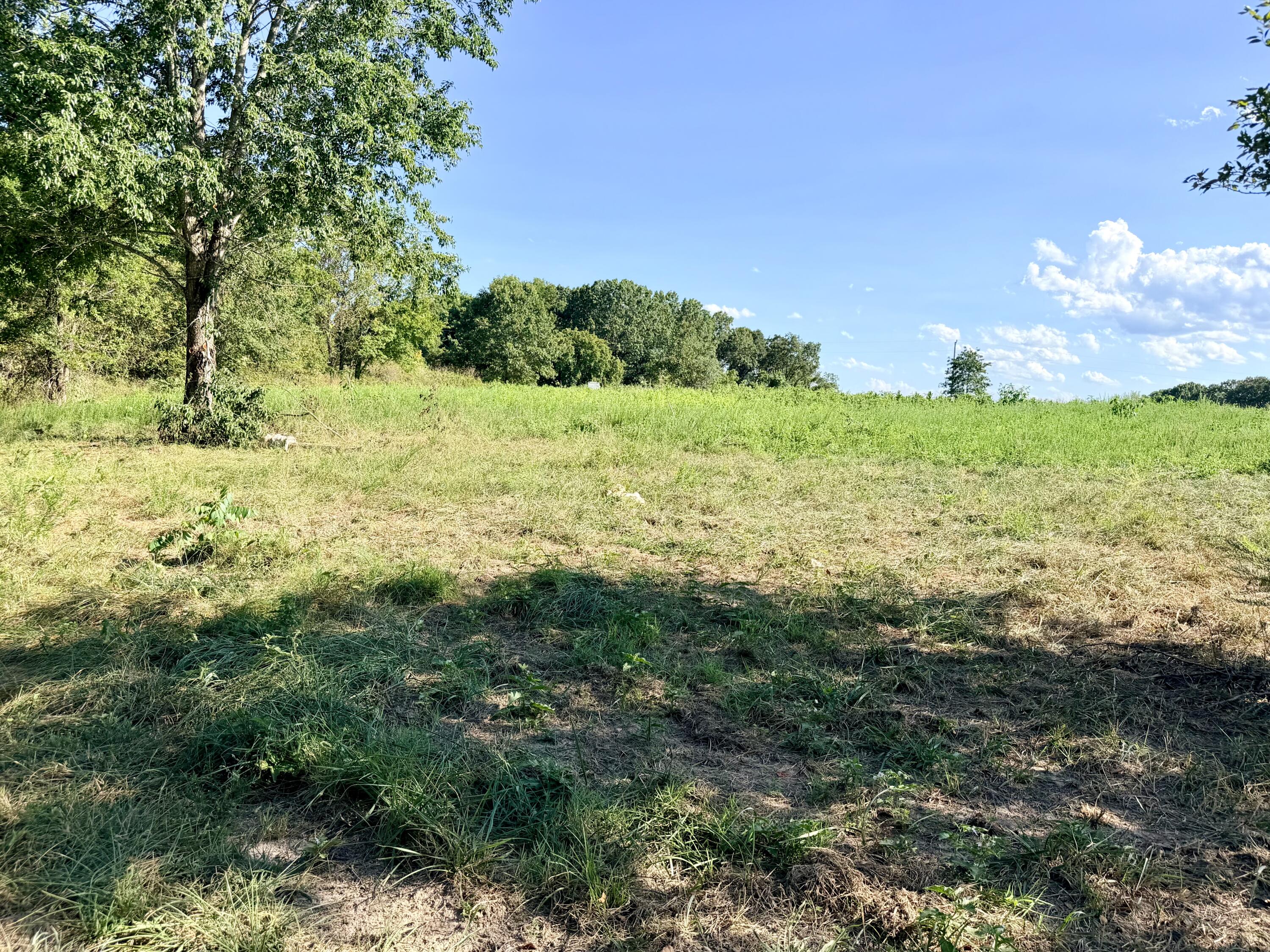 Photo 6 - Land for sale – 379  Fabuzi Lane  Galena, MO