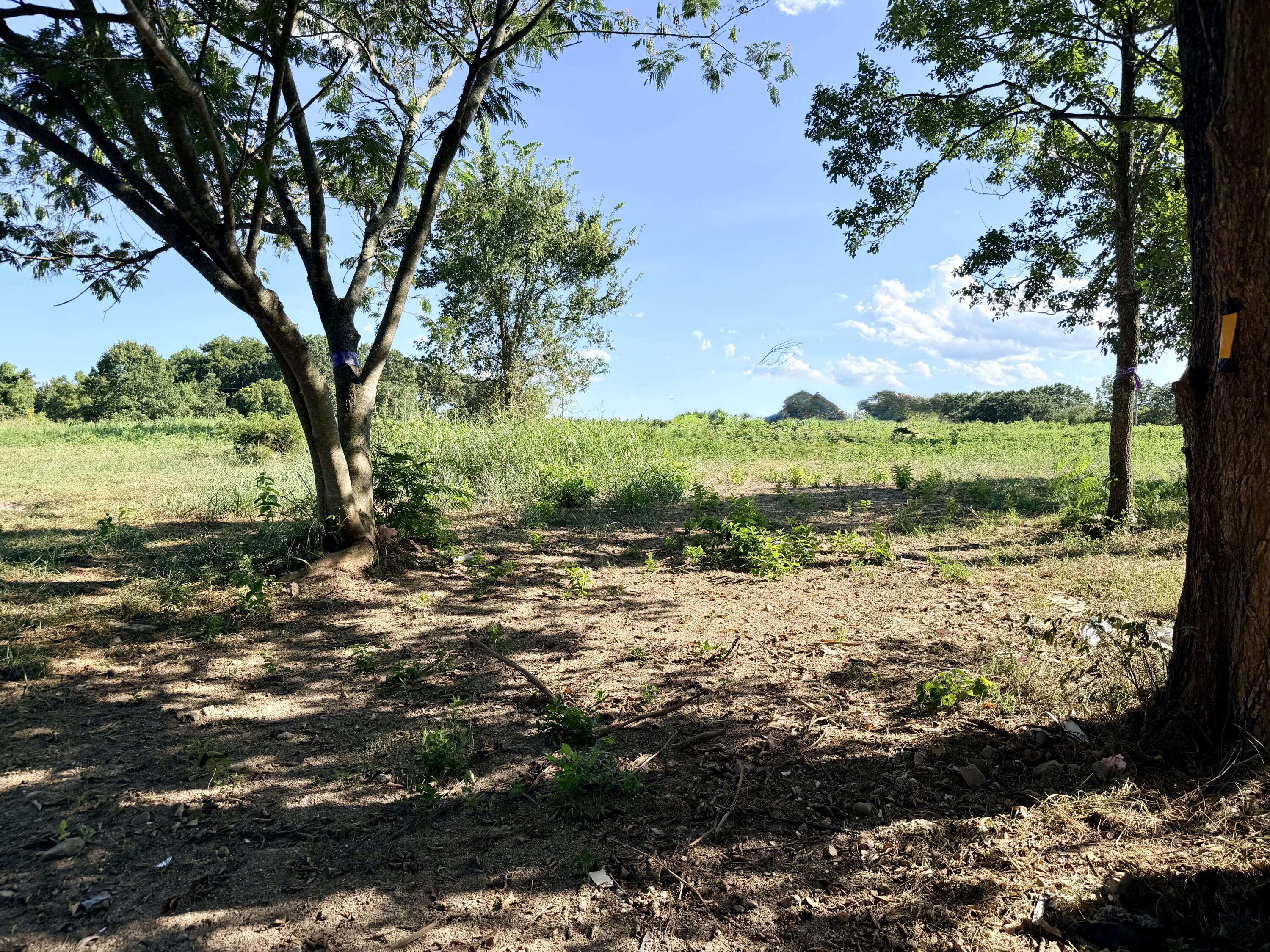 Photo 4 - Land for sale – 379  Fabuzi Lane  Galena, MO