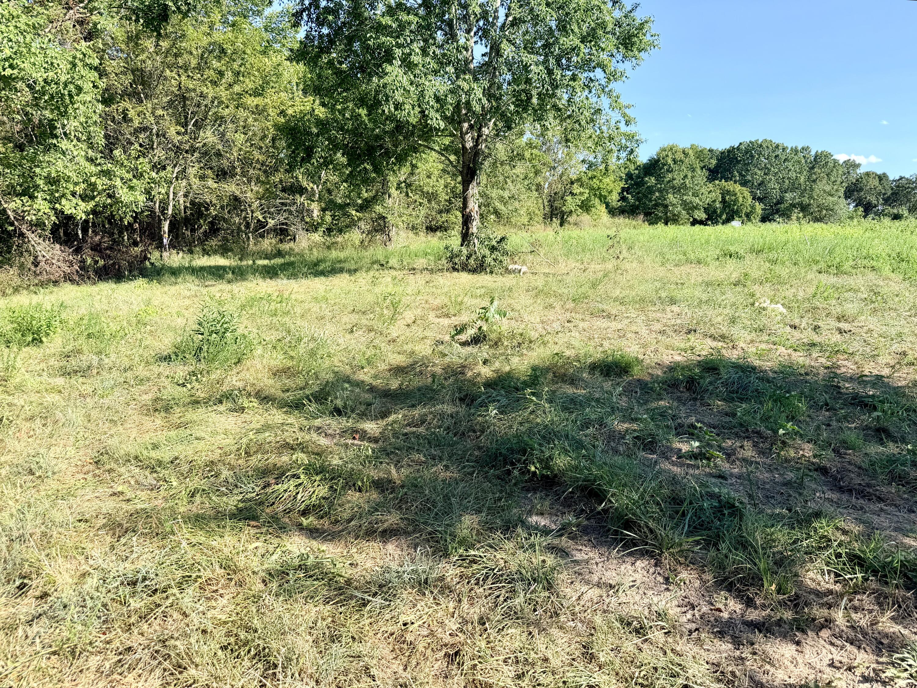 Photo 5 - Land for sale – 379  Fabuzi Lane  Galena, MO