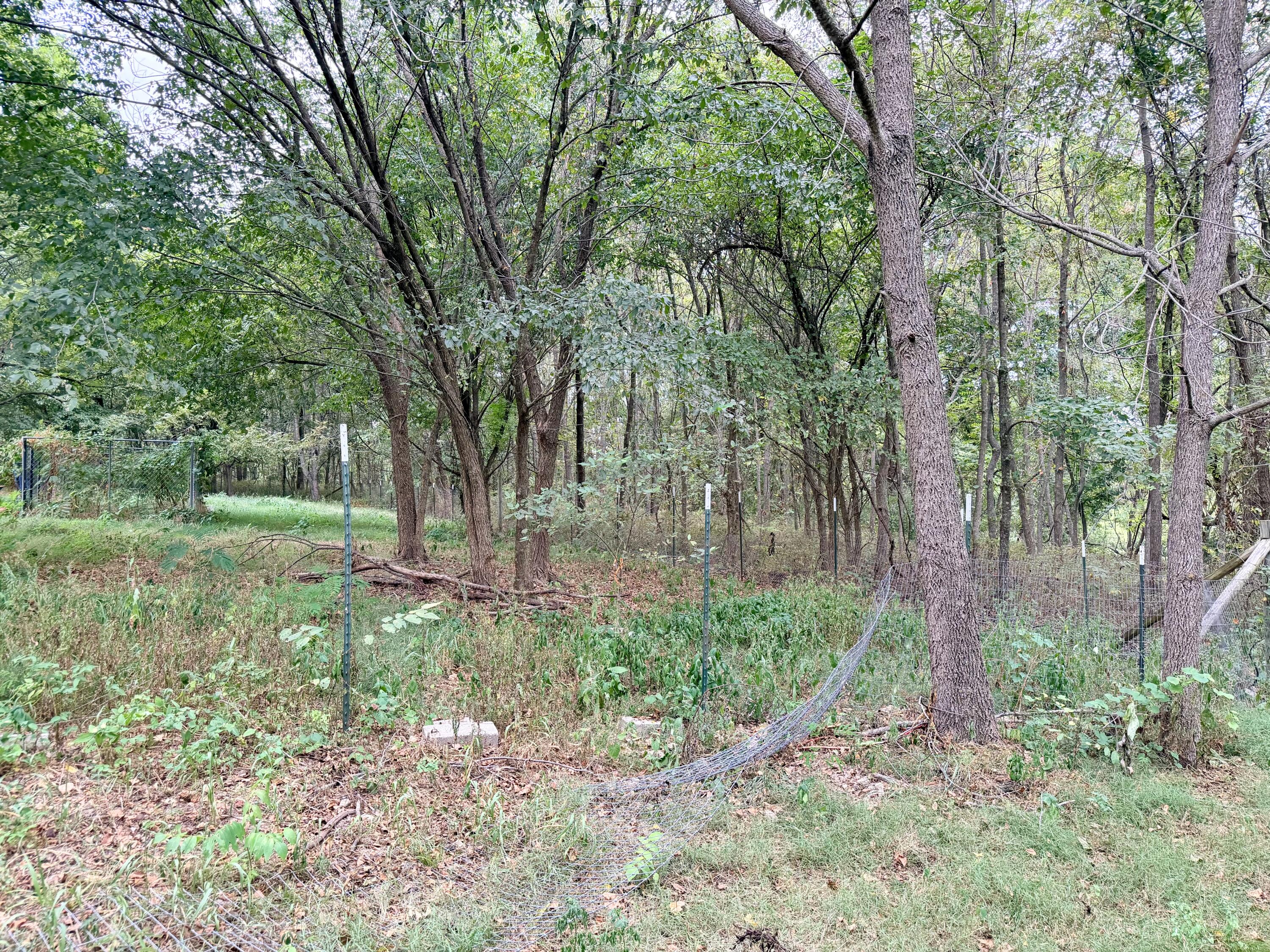 Photo 11 - Land for sale – 379  Fabuzi Lane  Galena, MO