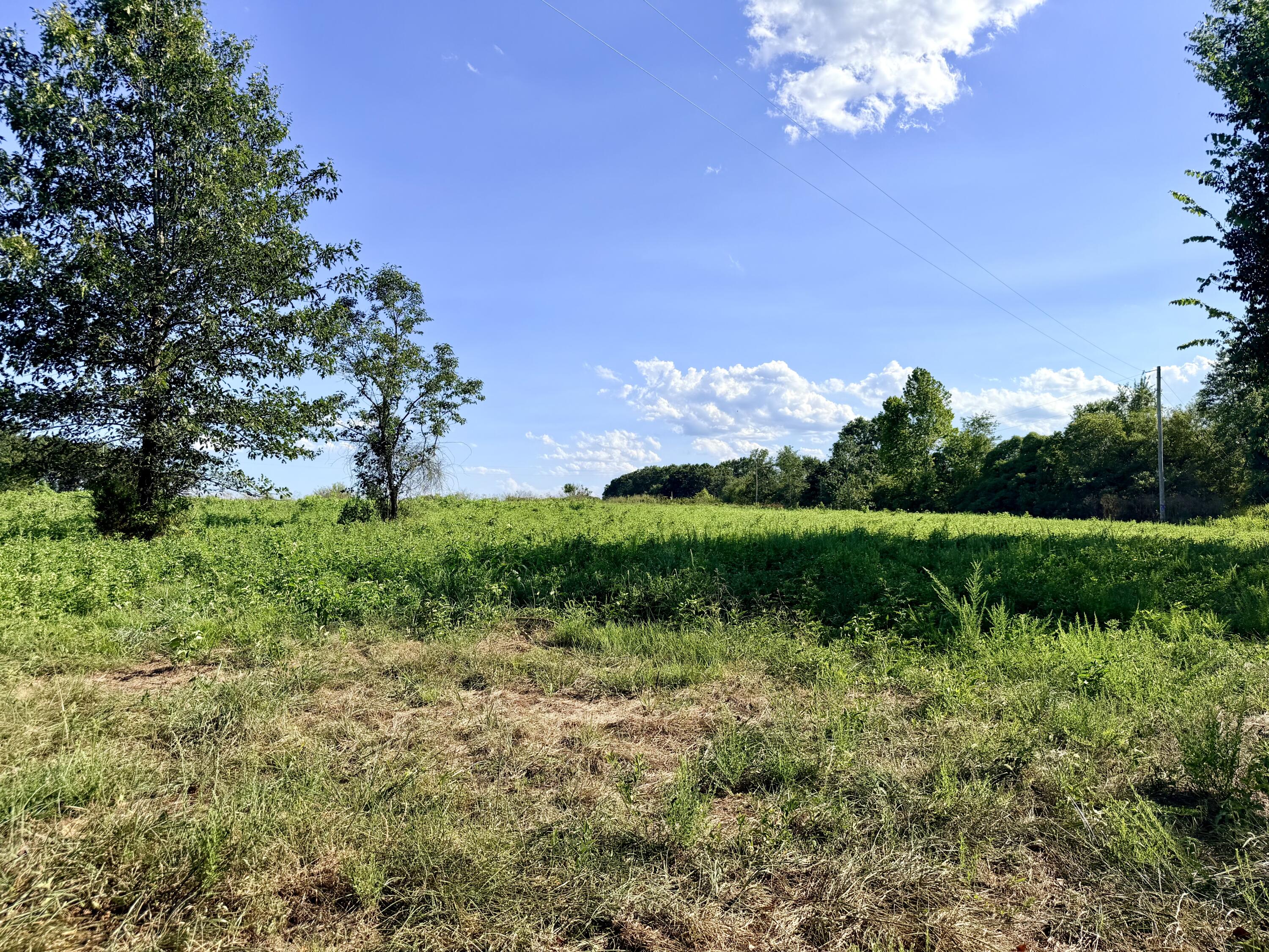 Land for sale – 379  Fabuzi Lane  Galena, MO