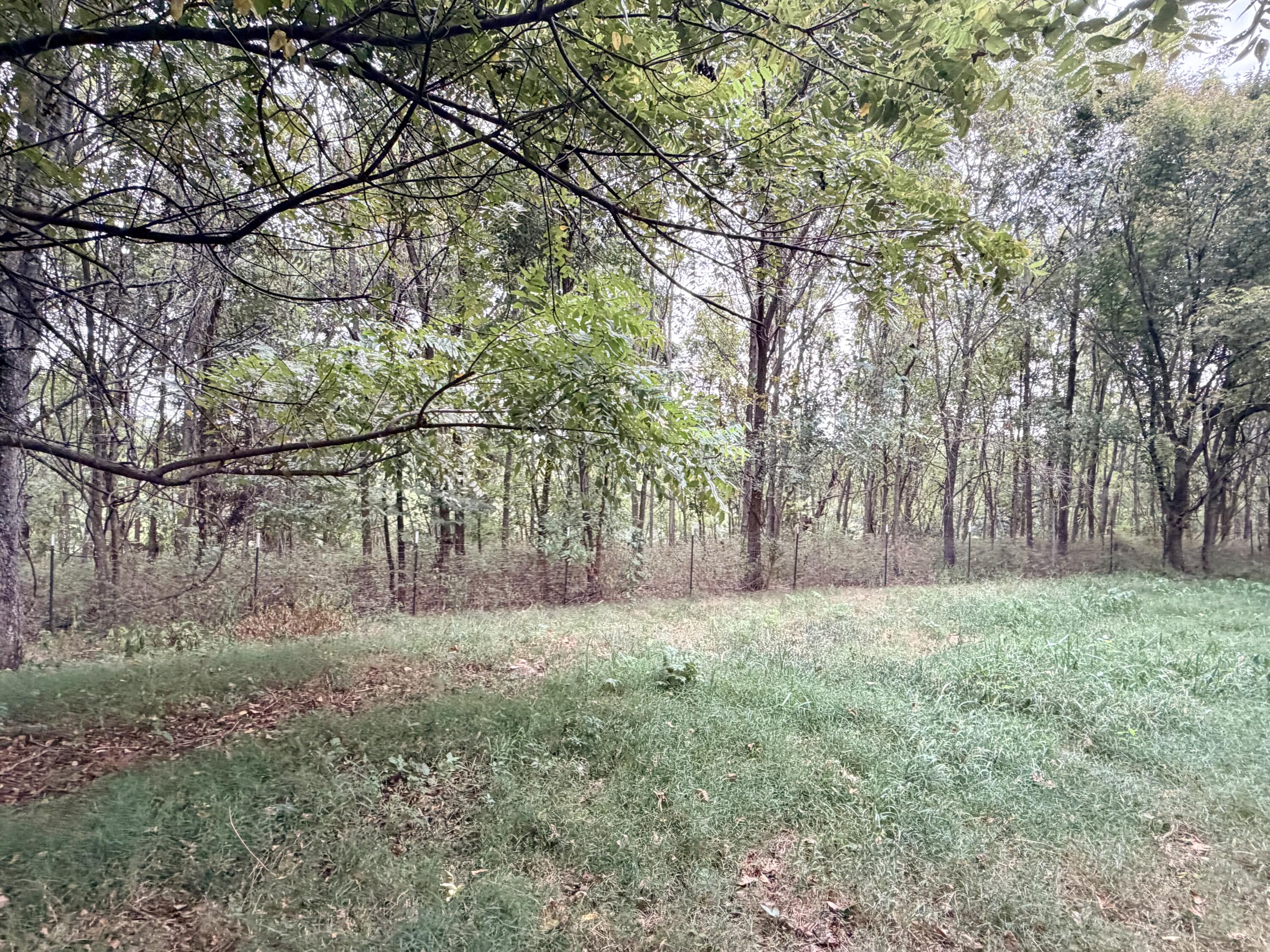 Photo 12 - Land for sale – 379  Fabuzi Lane  Galena, MO
