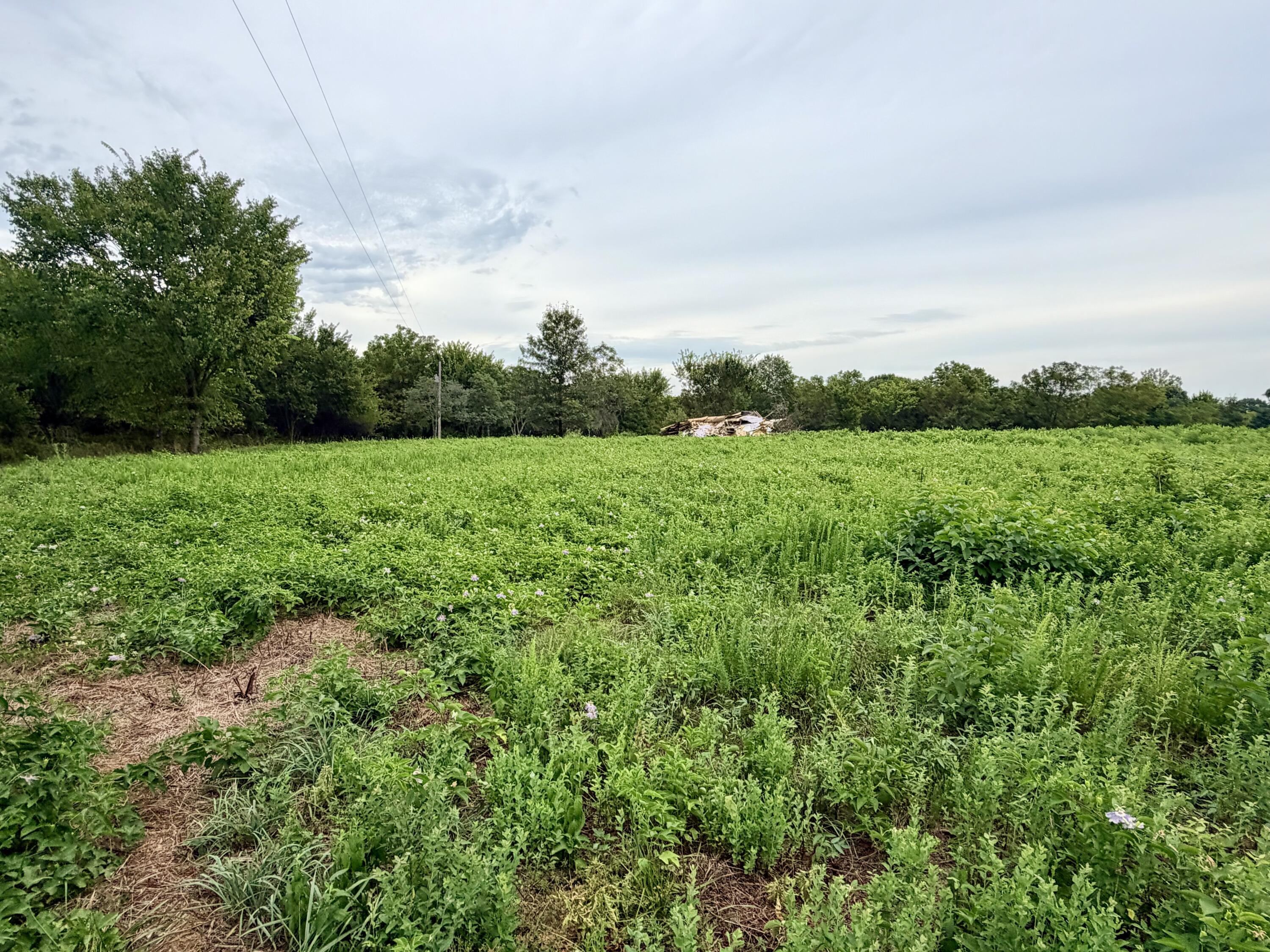 Photo 2 - Land for sale – 379  Fabuzi Lane  Galena, MO