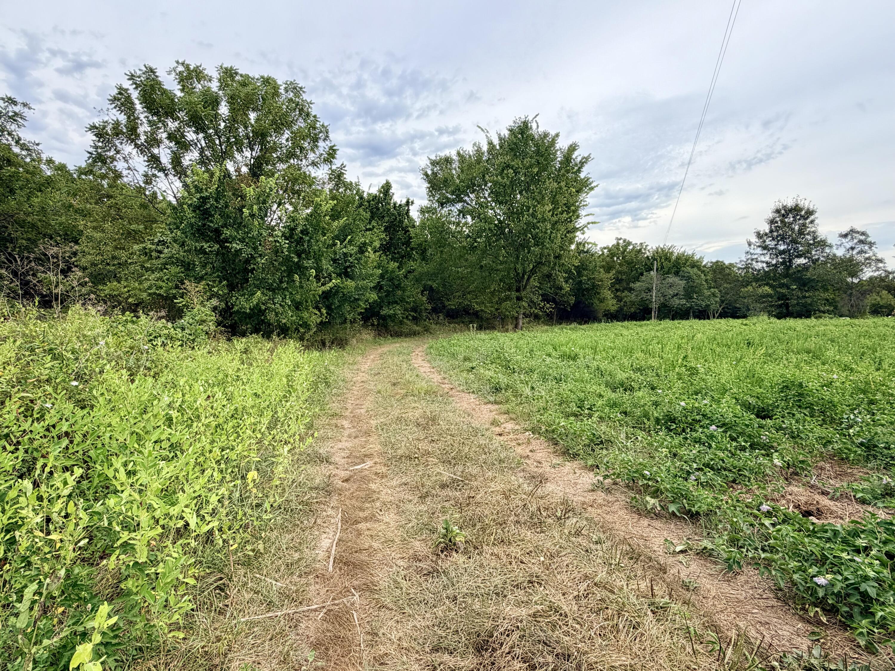 Photo 3 - Land for sale – 379  Fabuzi Lane  Galena, MO