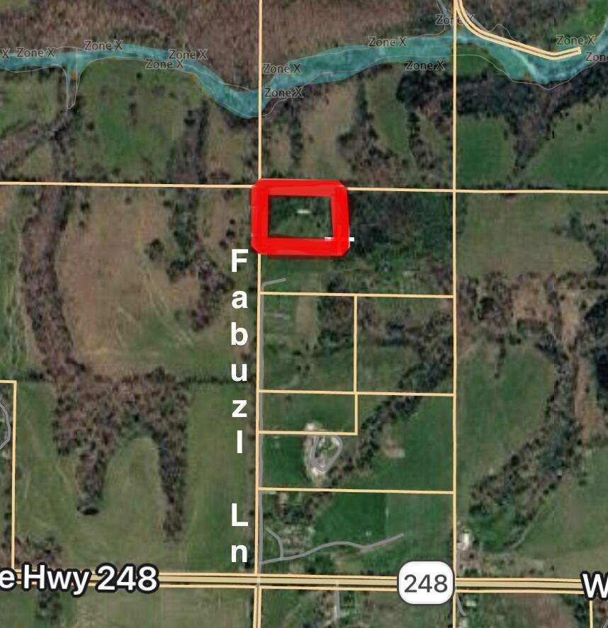 Photo 14 - Land for sale – 379  Fabuzi Lane  Galena, MO