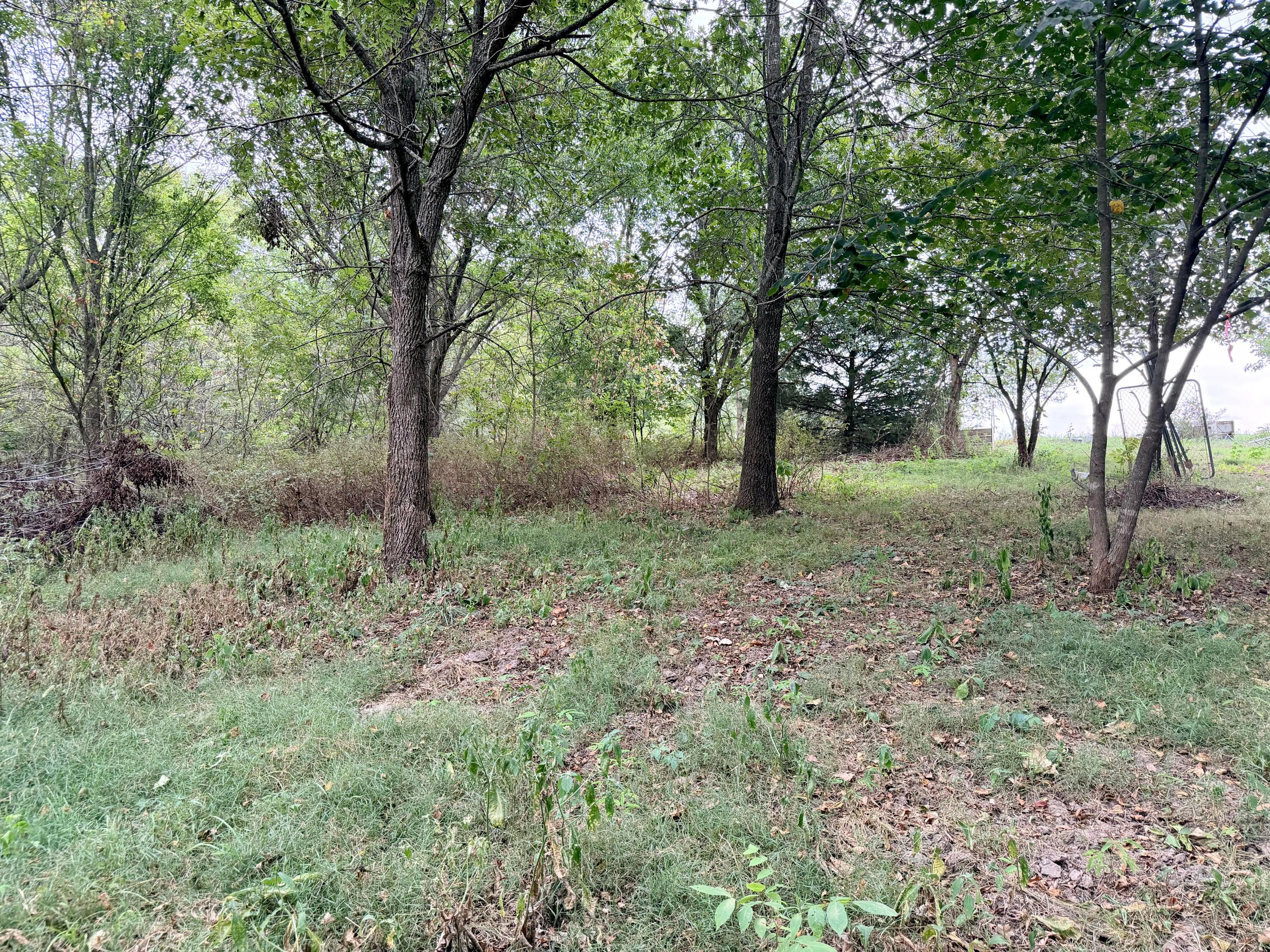Photo 10 - Land for sale – 379  Fabuzi Lane  Galena, MO