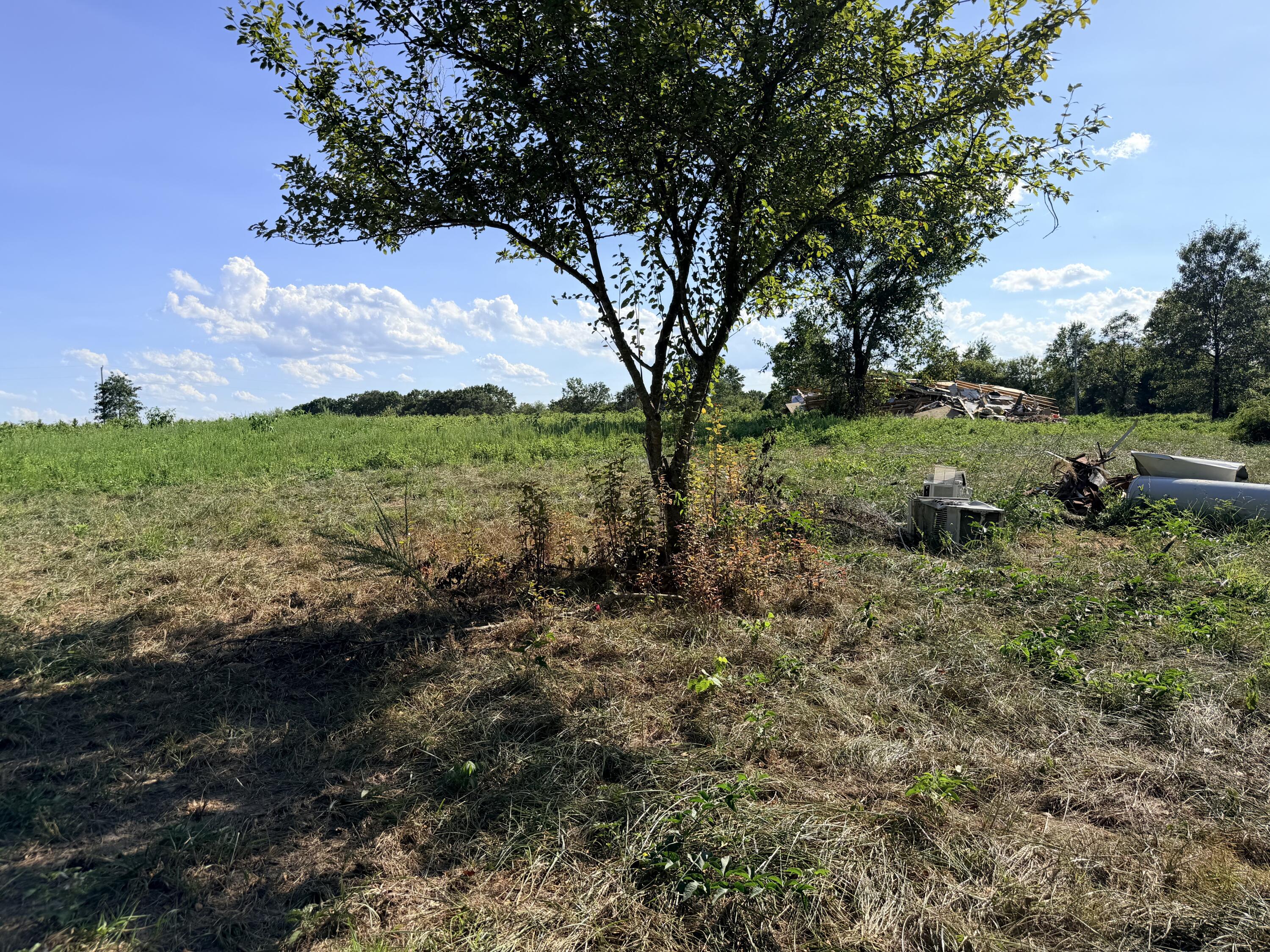 Photo 8 - Land for sale – 379  Fabuzi Lane  Galena, MO