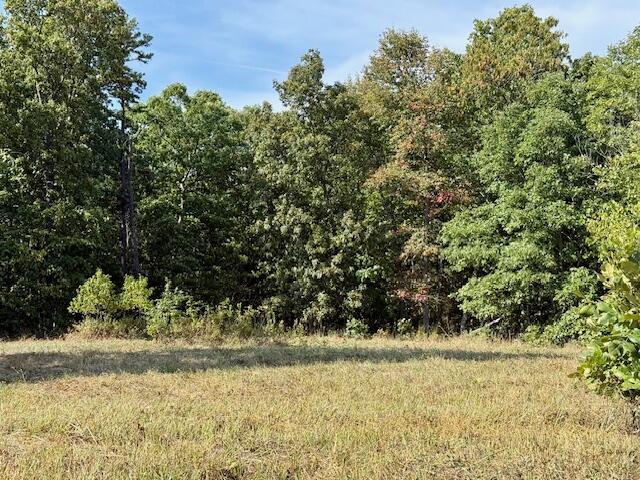 Photo 43 - Residential for sale – 7821  Highway Kk   Hartshorn, MO
