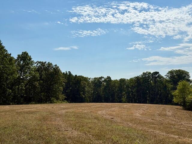 Photo 36 - Residential for sale – 7821  Highway Kk   Hartshorn, MO