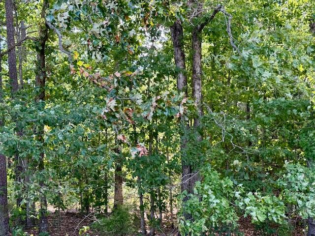 Photo 46 - Residential for sale – 7821  Highway Kk   Hartshorn, MO