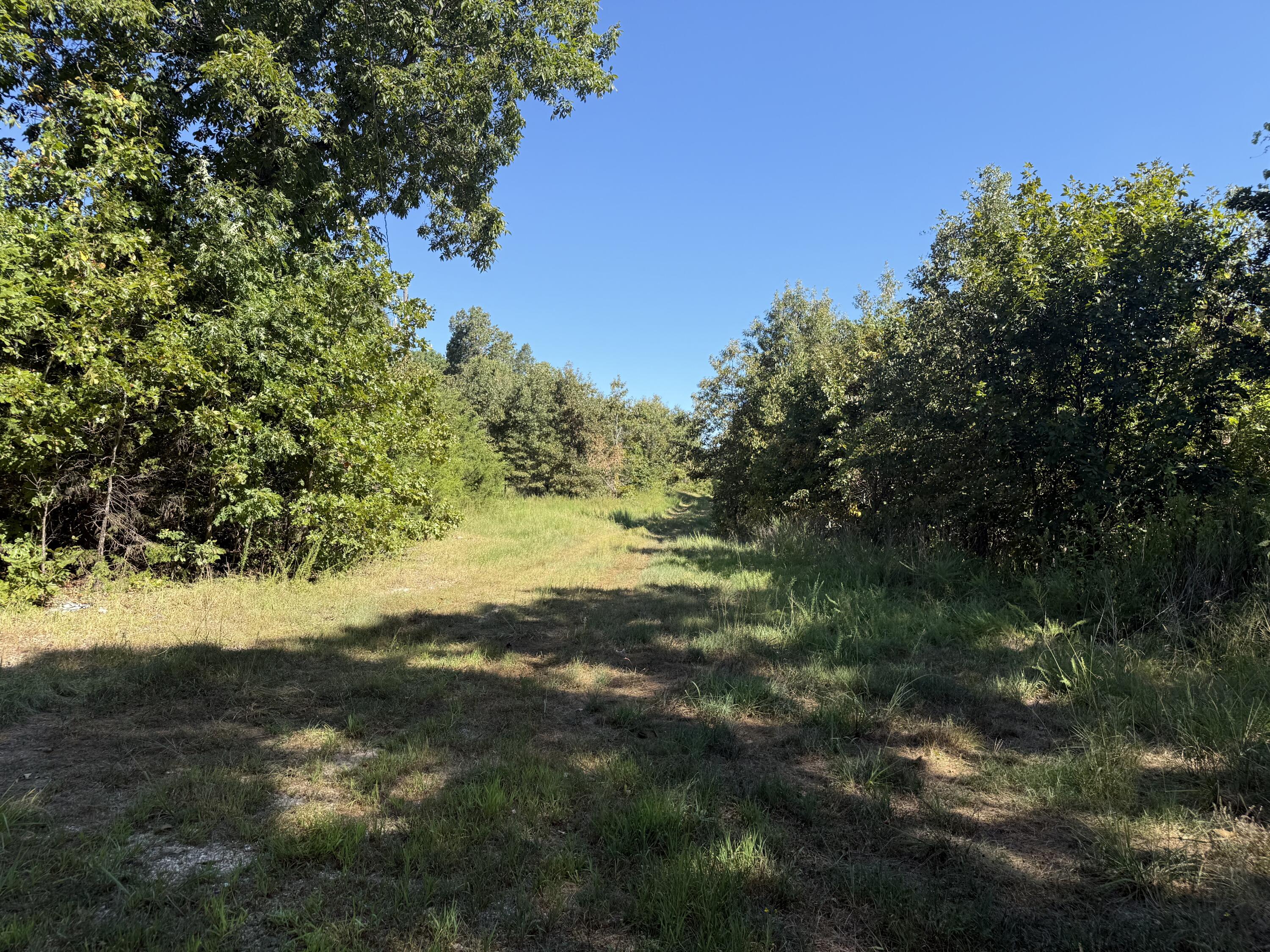 Photo 7 - Land for sale – 8125  Heart Road  Mammoth Spring, AR