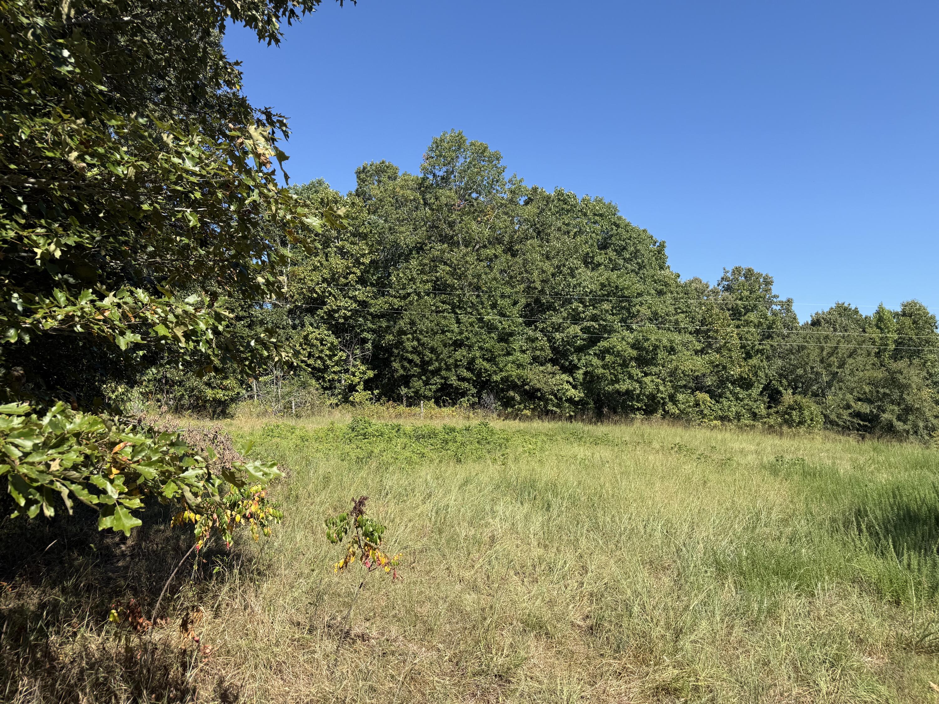 Photo 4 - Land for sale – 8125  Heart Road  Mammoth Spring, AR