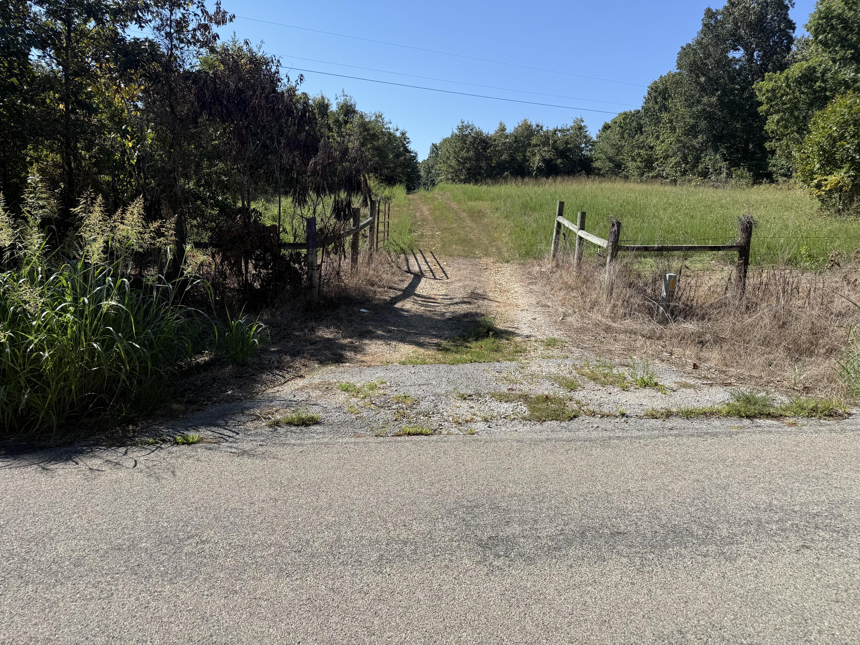 Photo 3 - Land for sale – 8125  Heart Road  Mammoth Spring, AR