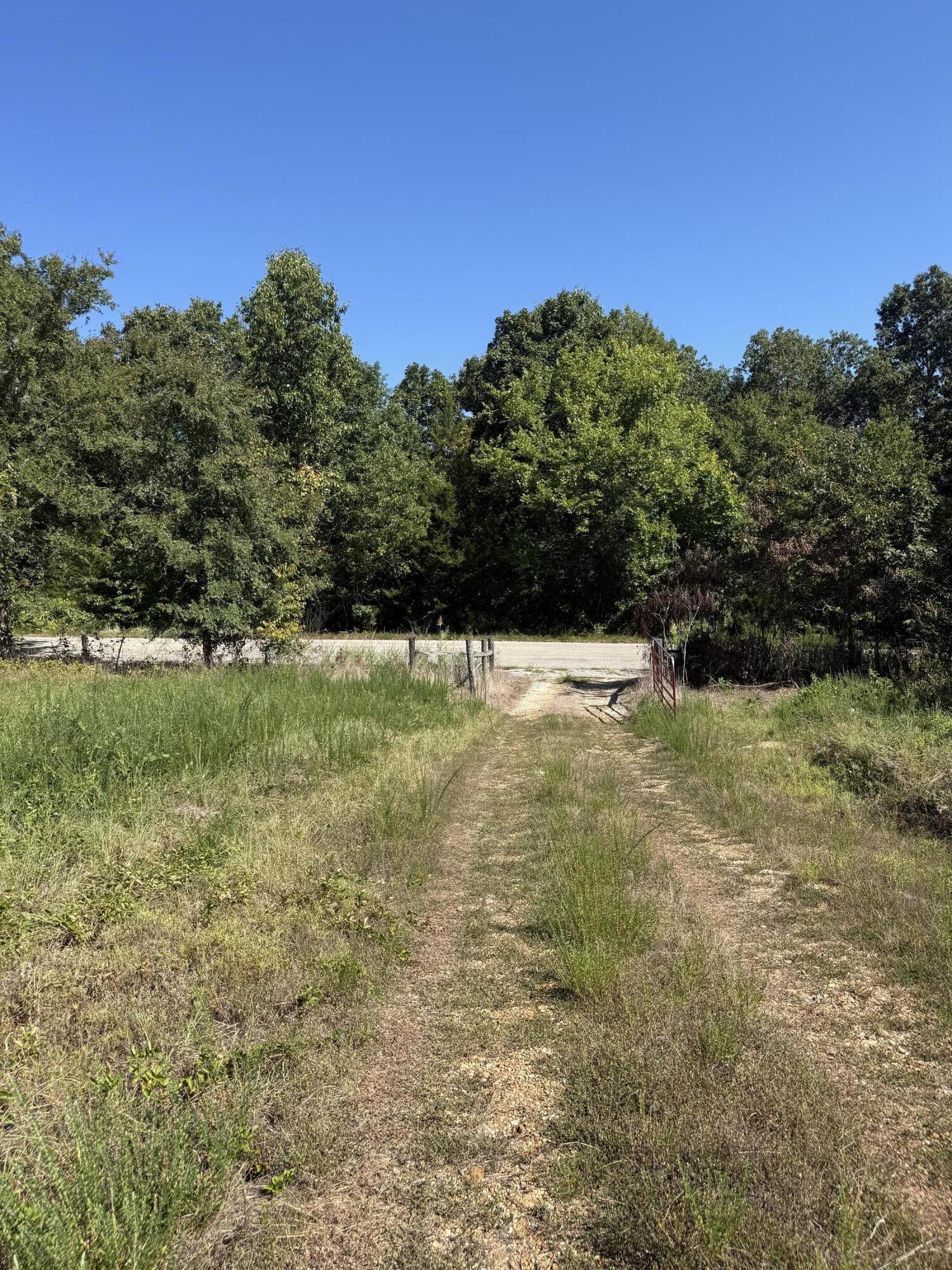 Photo 8 - Land for sale – 8125  Heart Road  Mammoth Spring, AR