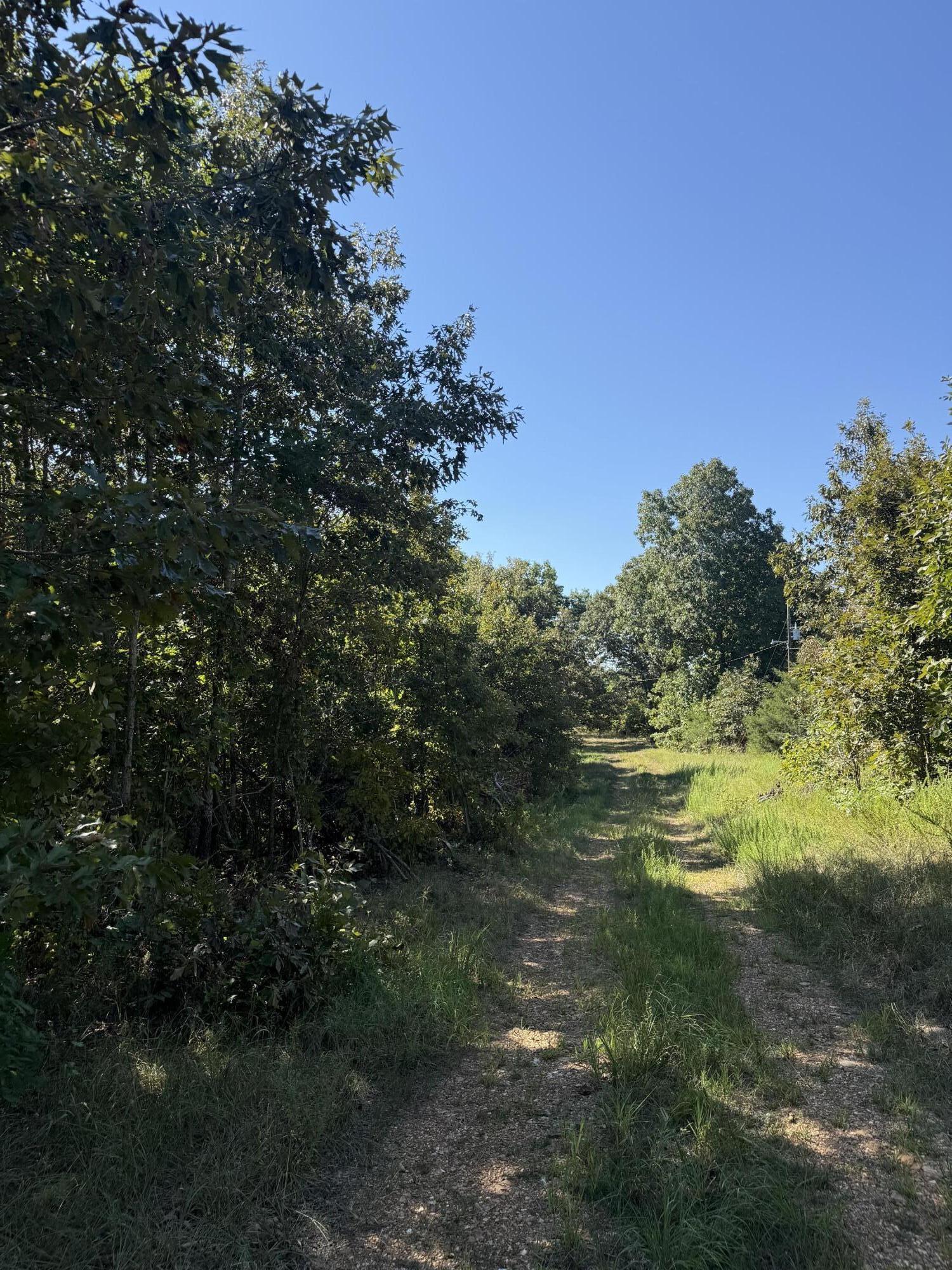 Photo 6 - Land for sale – 8125  Heart Road  Mammoth Spring, AR