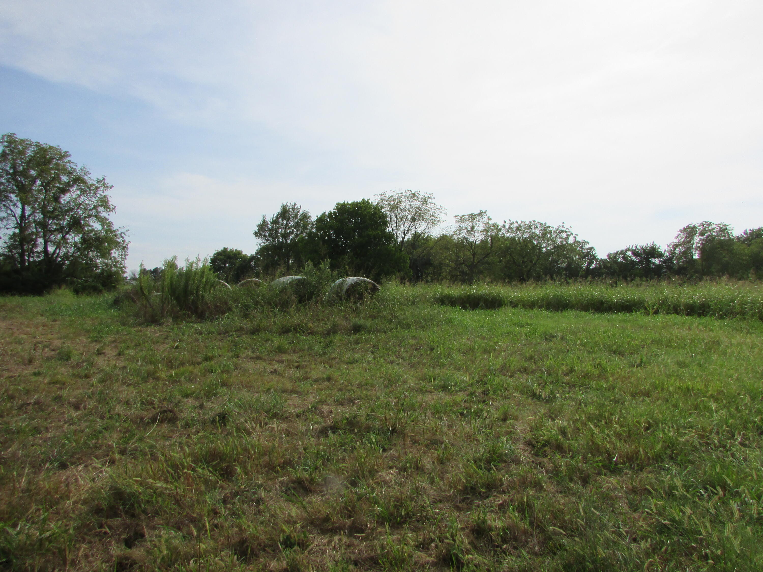 Photo 7 - Land for sale – 000 S Farm Rd 67   Republic, MO
