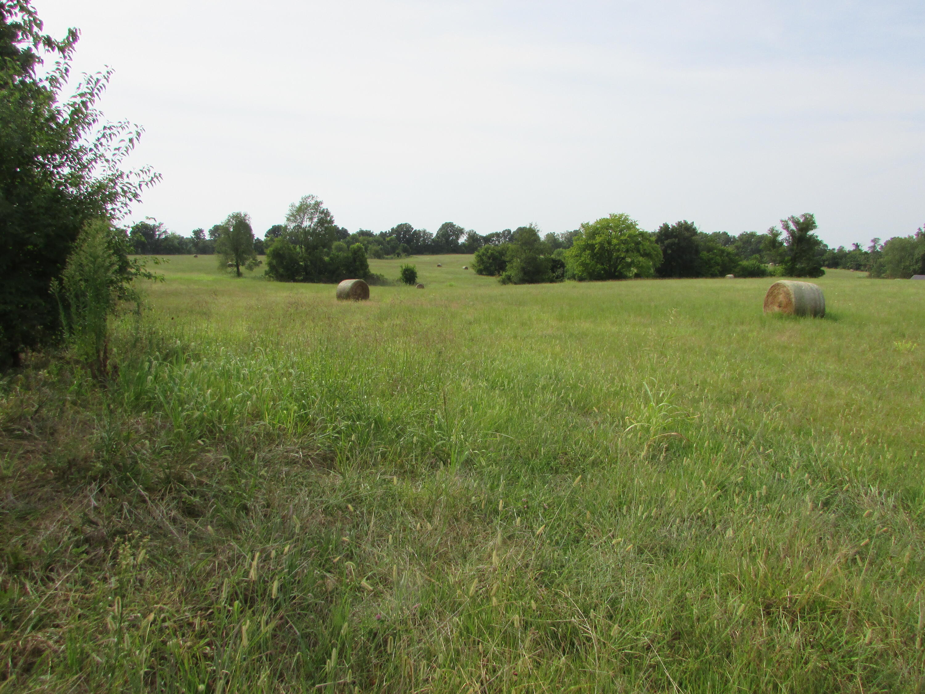 Photo 4 - Land for sale – 000 S Farm Rd 67   Republic, MO