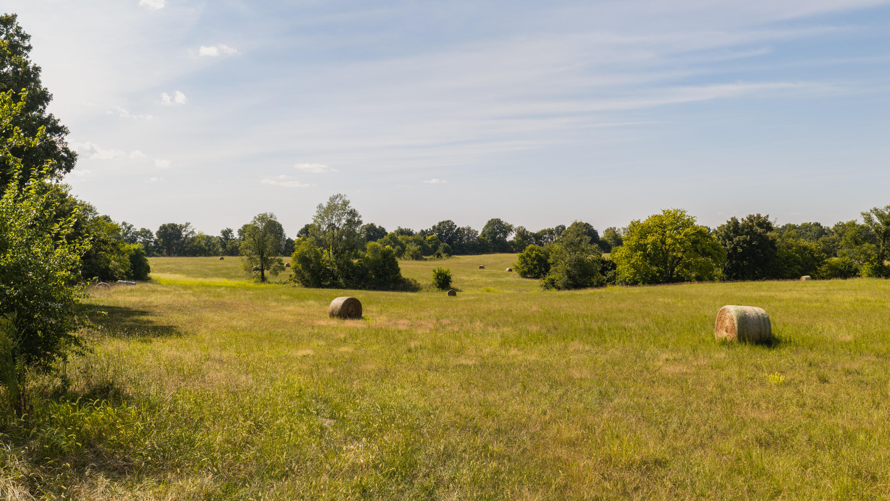 Photo 13 - Land for sale – 000 S Farm Rd 67   Republic, MO