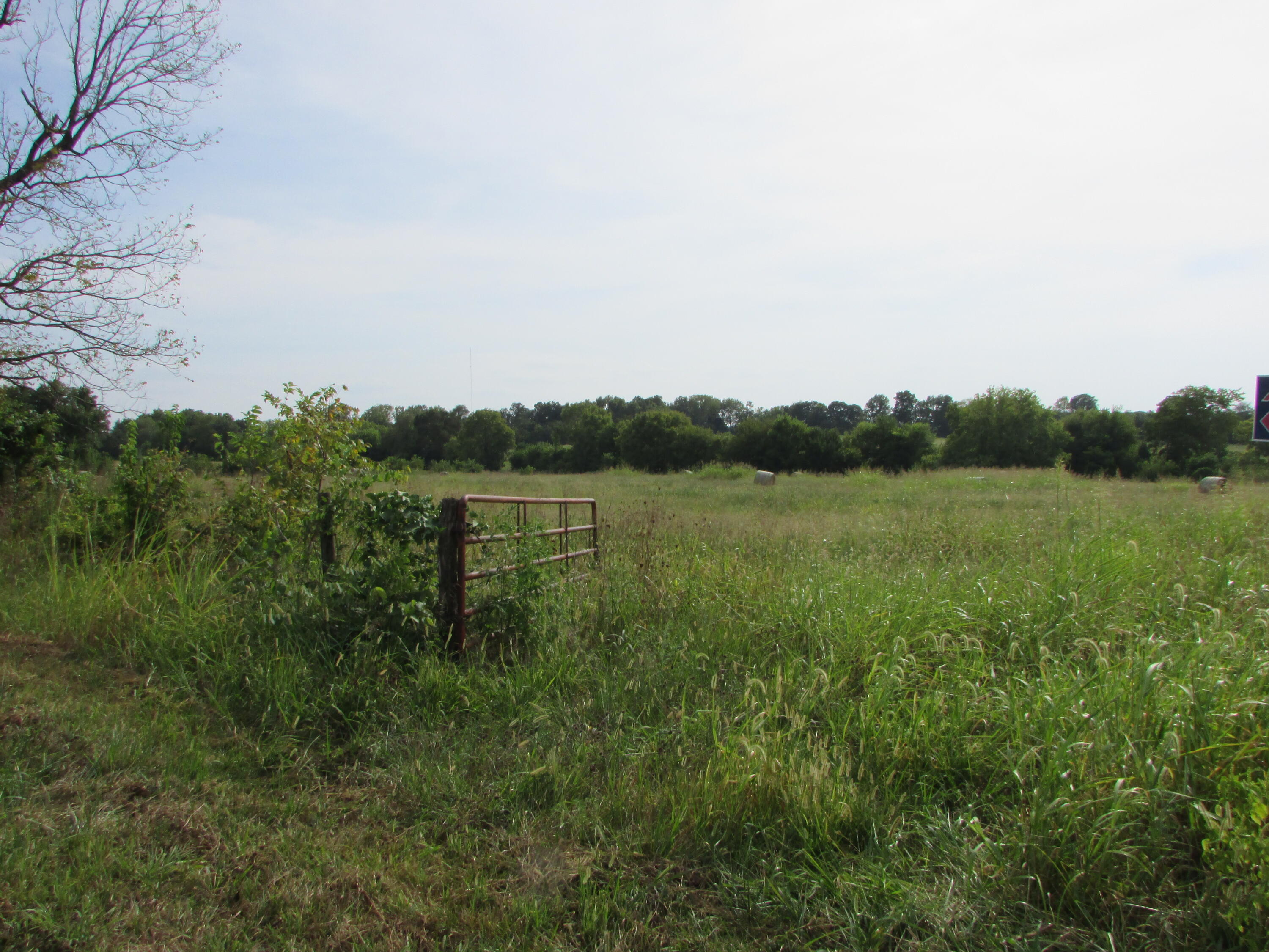 Photo 10 - Land for sale – 000 S Farm Rd 67   Republic, MO